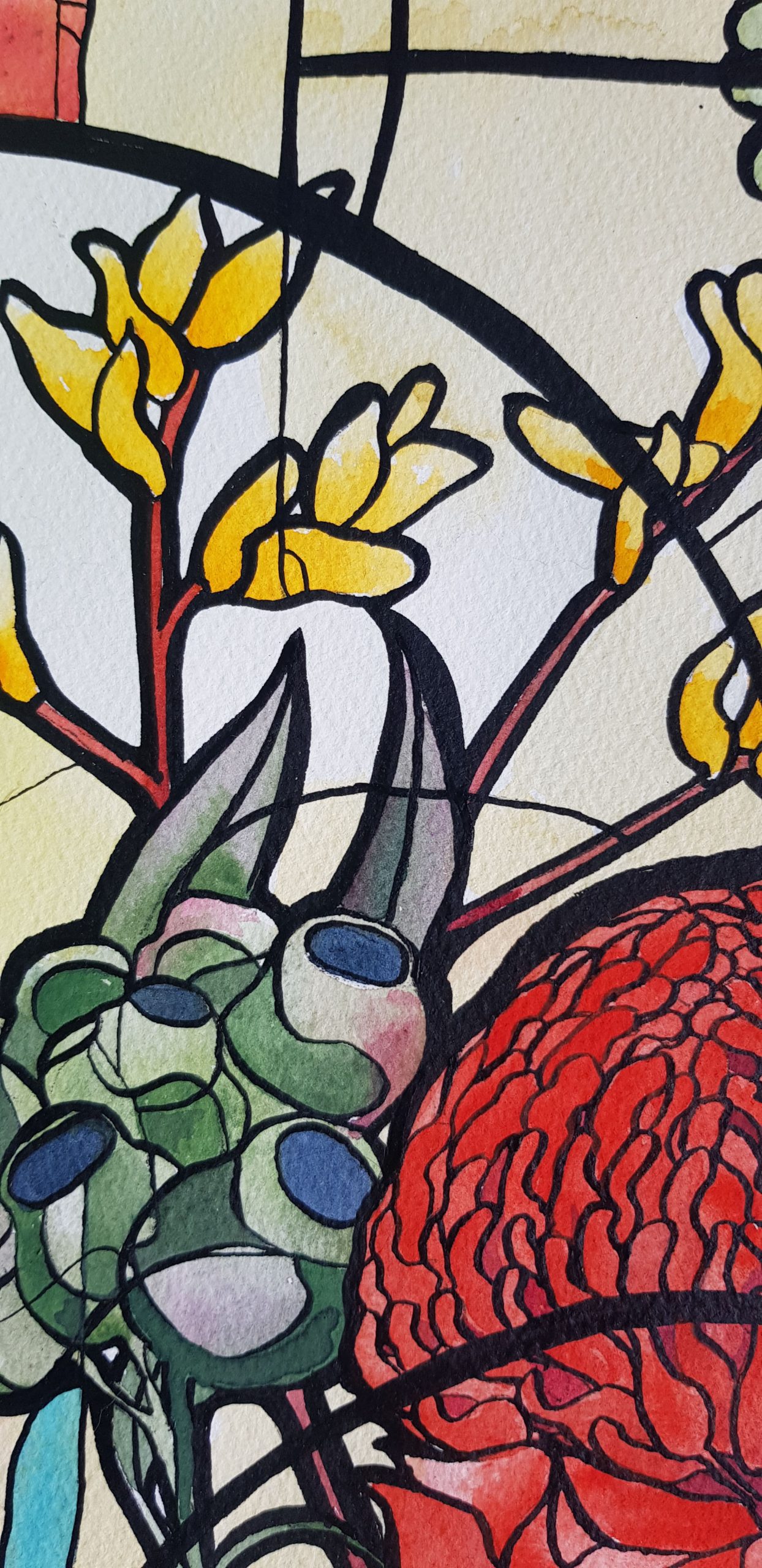 Blooming Teacups Nicola Cowie Kangaroo Paws