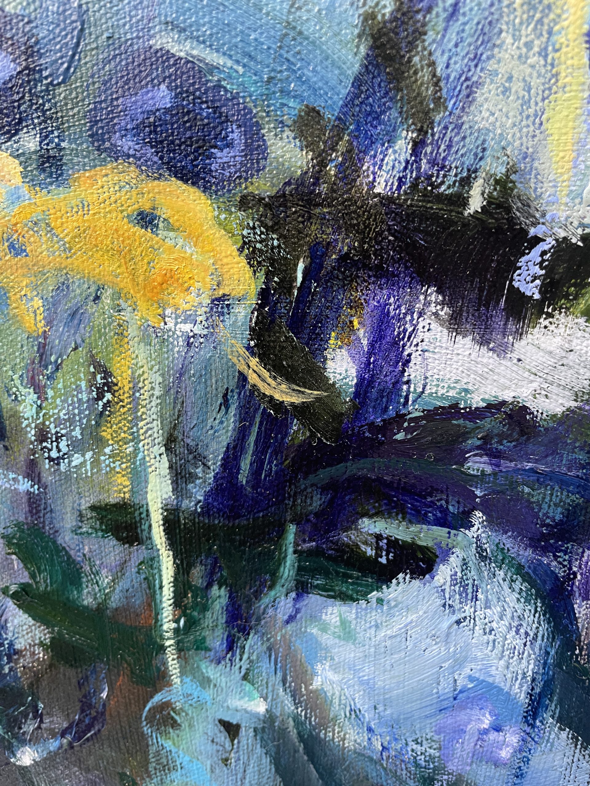 Garden Of Echinacea, Daisies And Blue Buttons Closeup 1