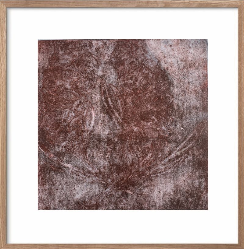 Banksia – Rose II Ltd Ed Print