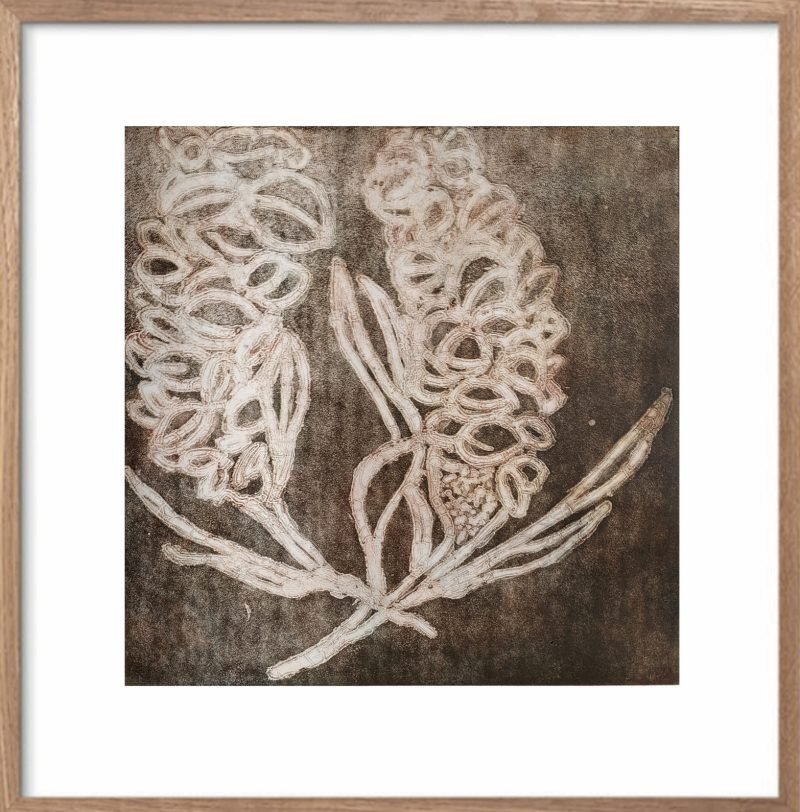Banksia – Brown Ltd Ed Print
