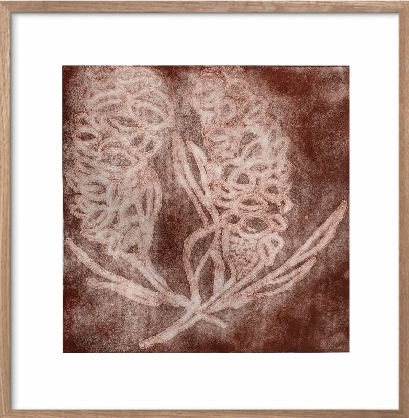 Banksia – Burgundy Ltd Ed Print