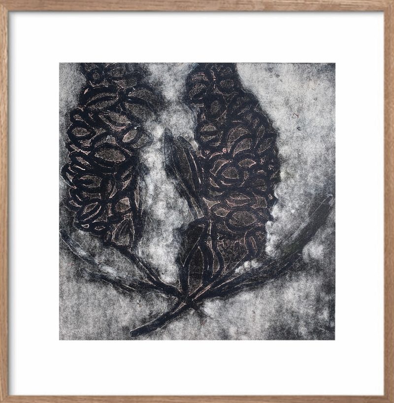 Banksia – Charcoal Ltd Ed Print
