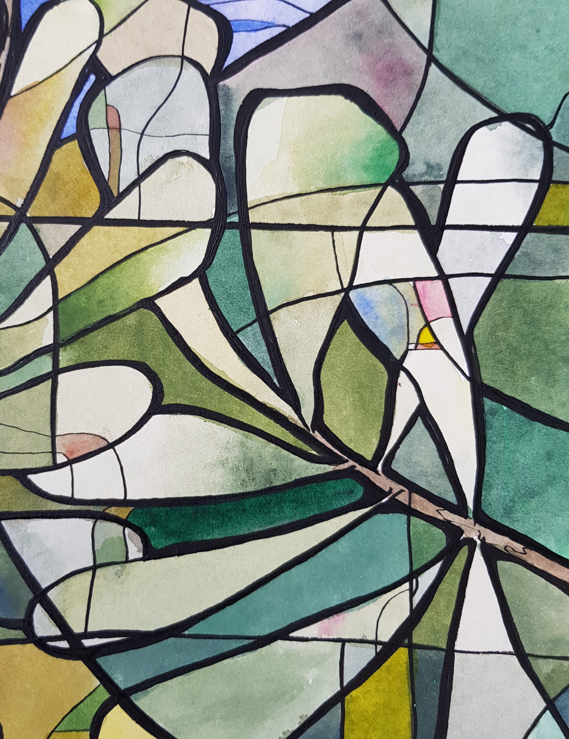 Coastal Banksia By Nicola Cowie Ink