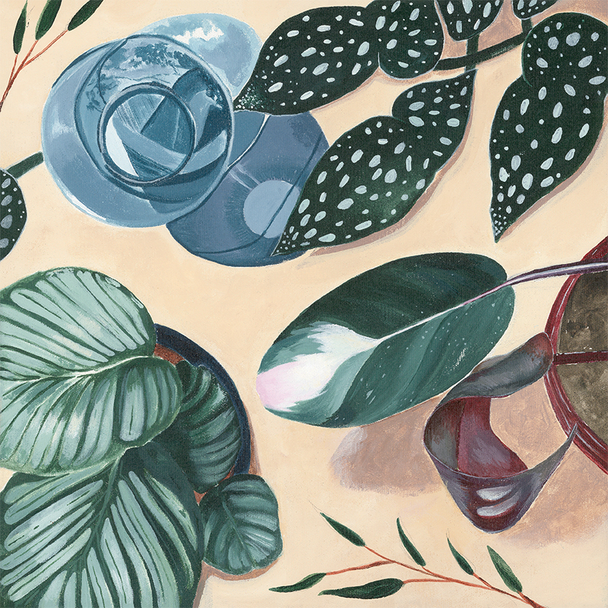 Vanessa Maver Day Dreamy 300x300m Webready