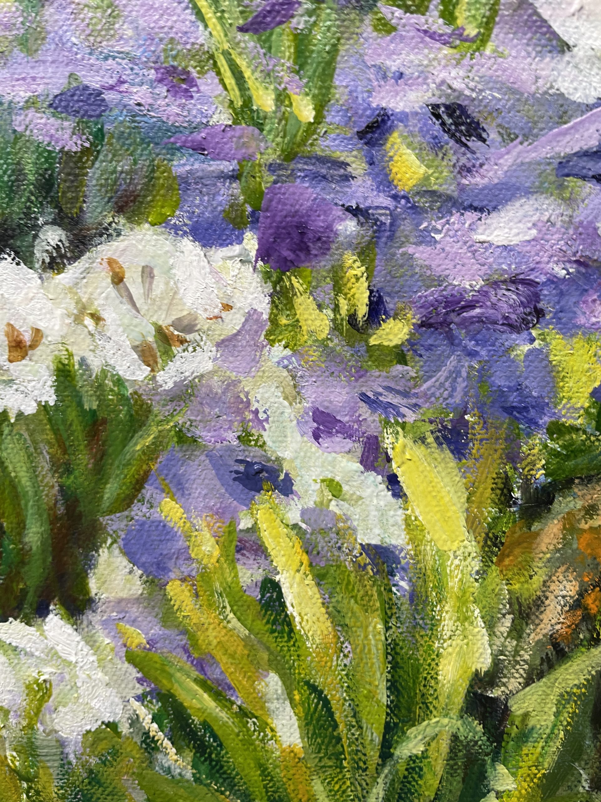 Agapanthas And Pencil Pines Closeup 1