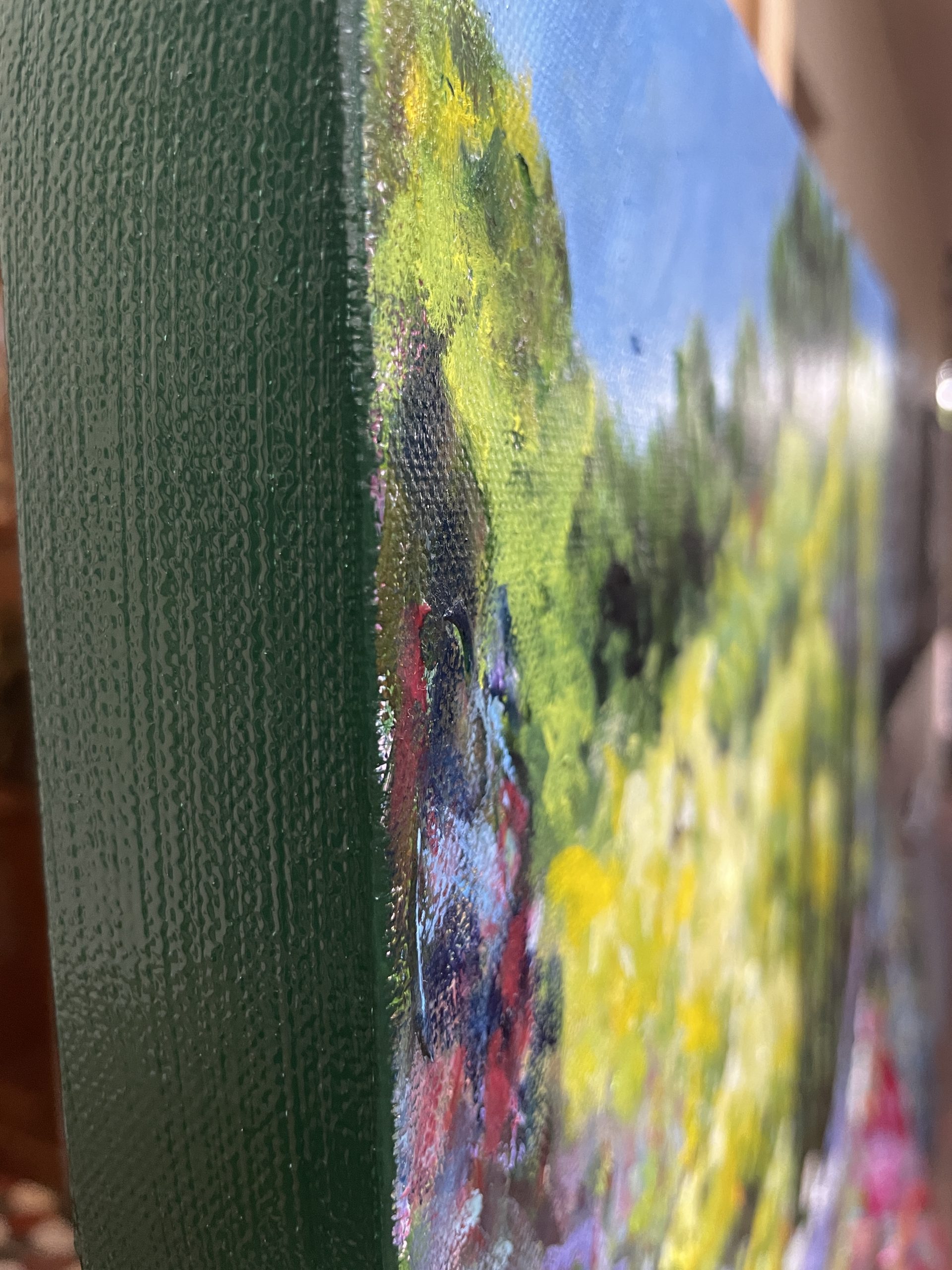 Agapanthas And Pencil Pines Side View