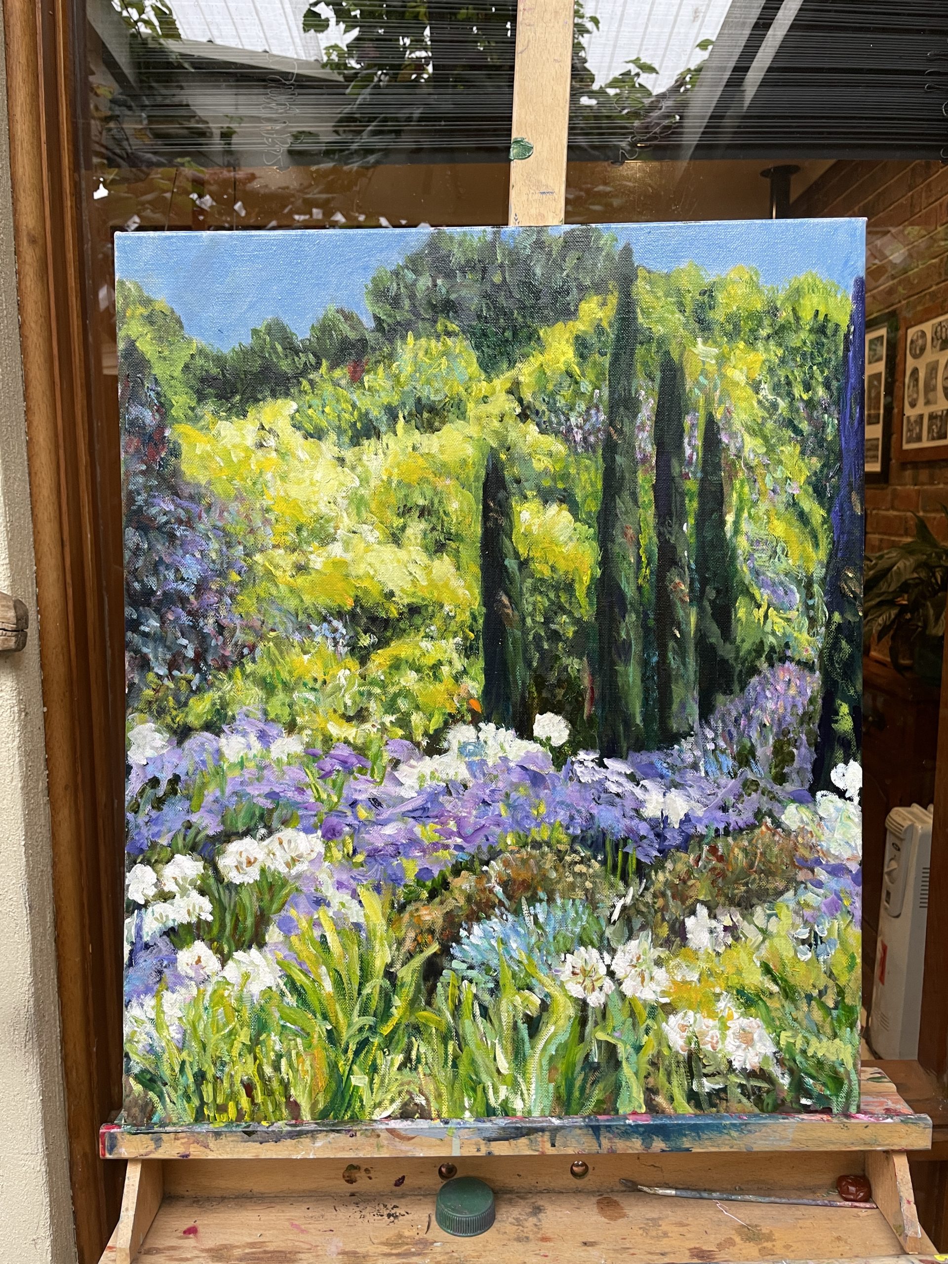 Agapanthas And Pencil Pines Studio View