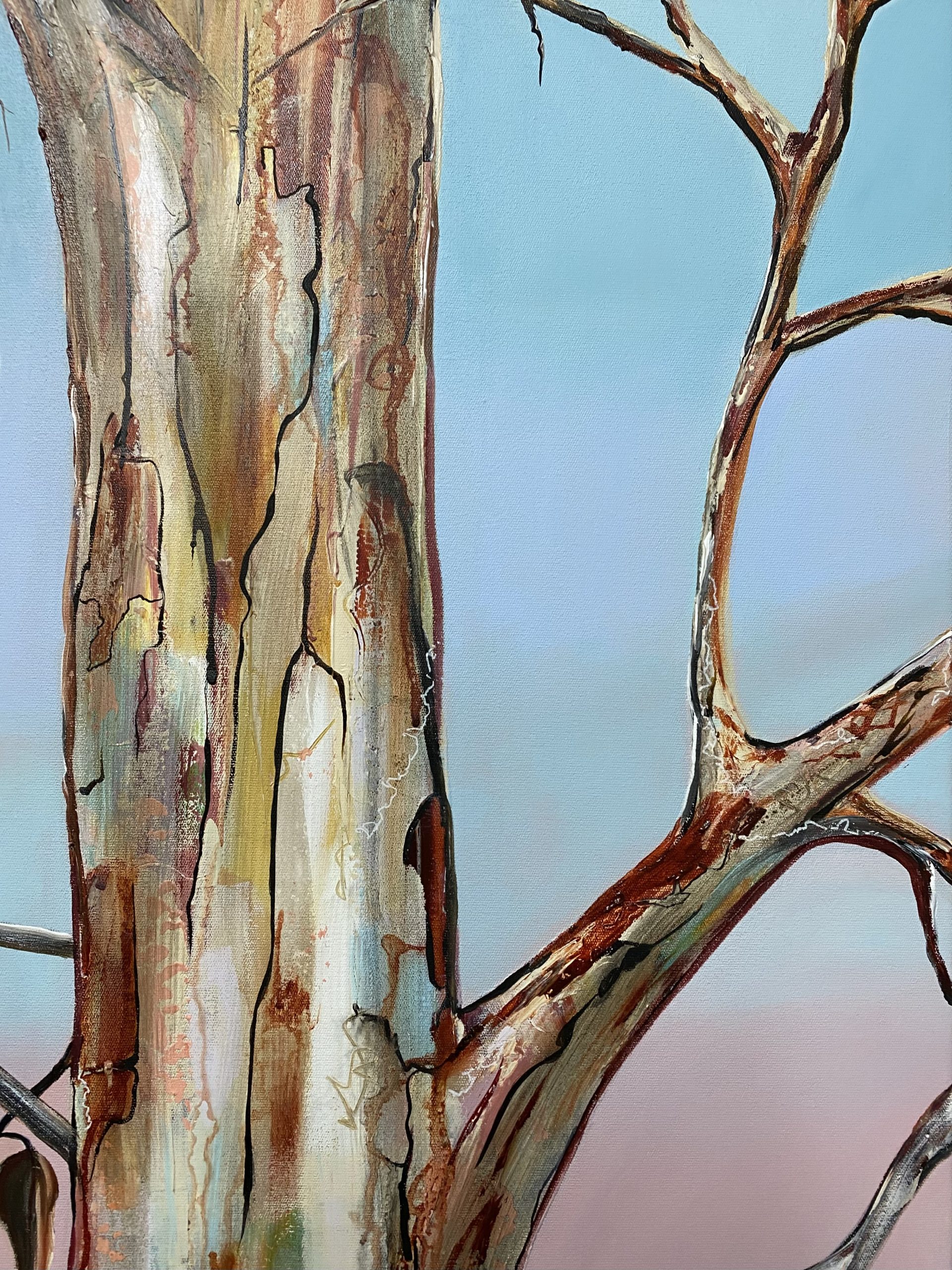 E99b42f5 47a6 43e5 B579 C90a9ebea0a1