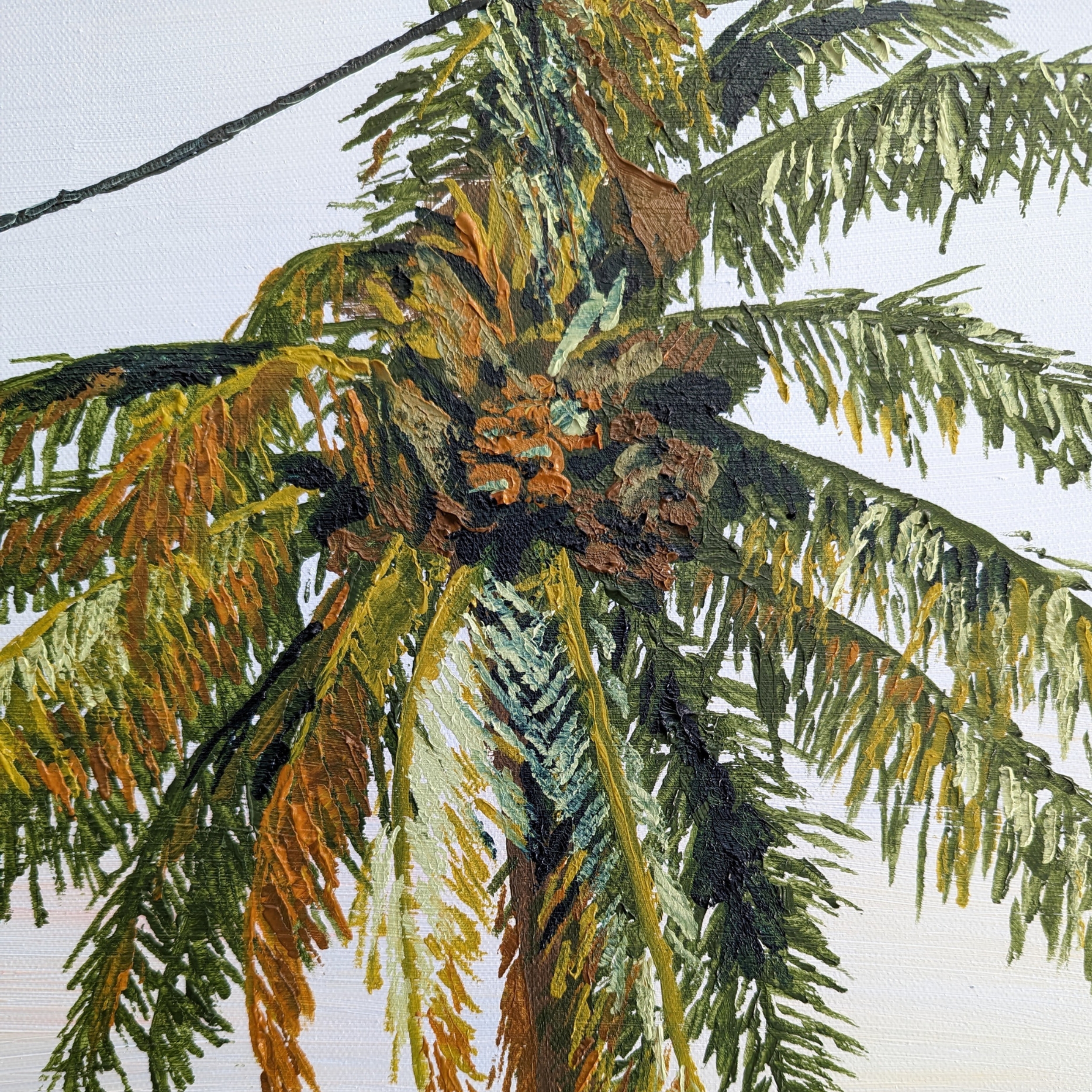 Sam Askin Beach Sunset 3 Coconut Tree