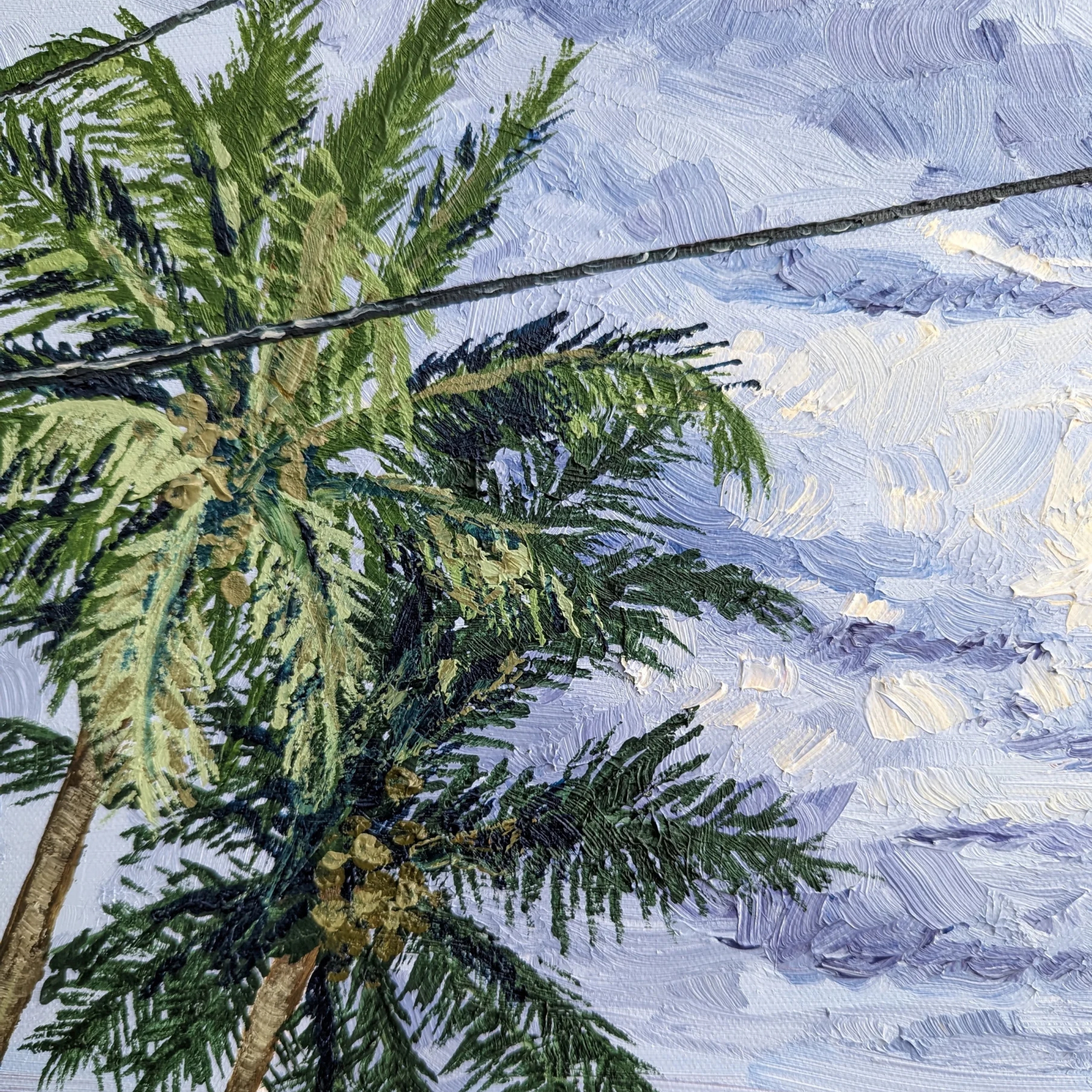 Sam Askin Beach Sunset 3 Powerlines