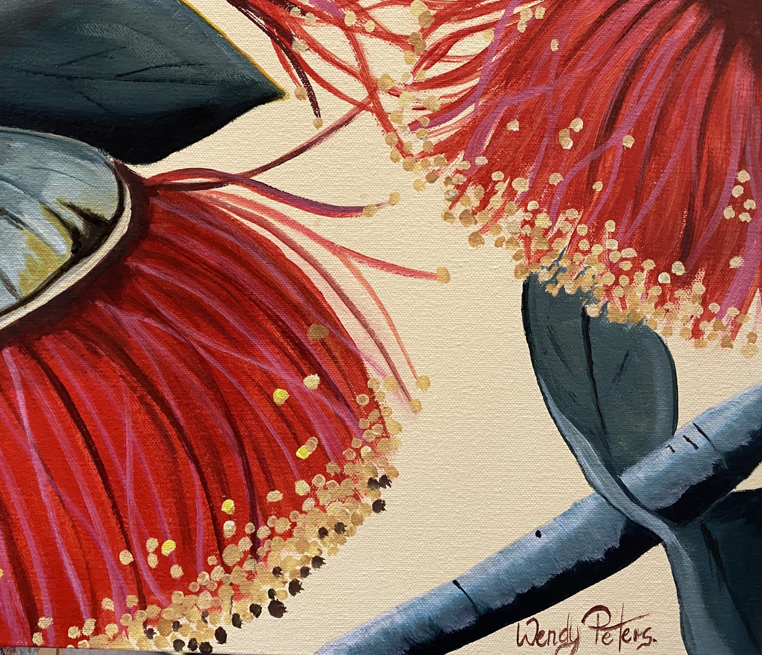 Gum Nut Glory Closeup Wendy Peters