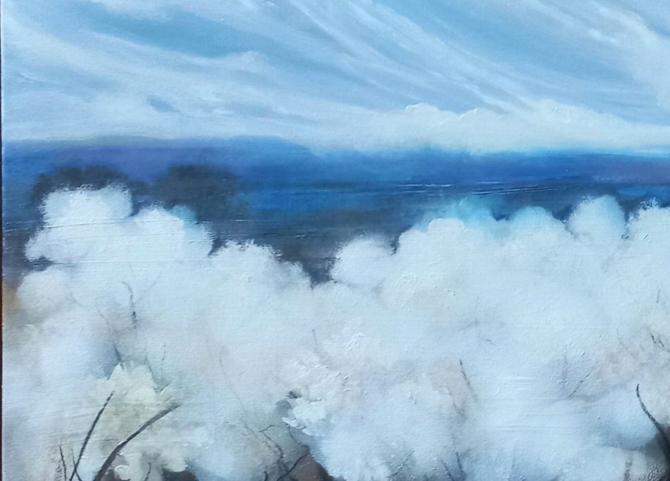 Tapscanner 11 24 2023 17꞉43 20231124 174320 781 2