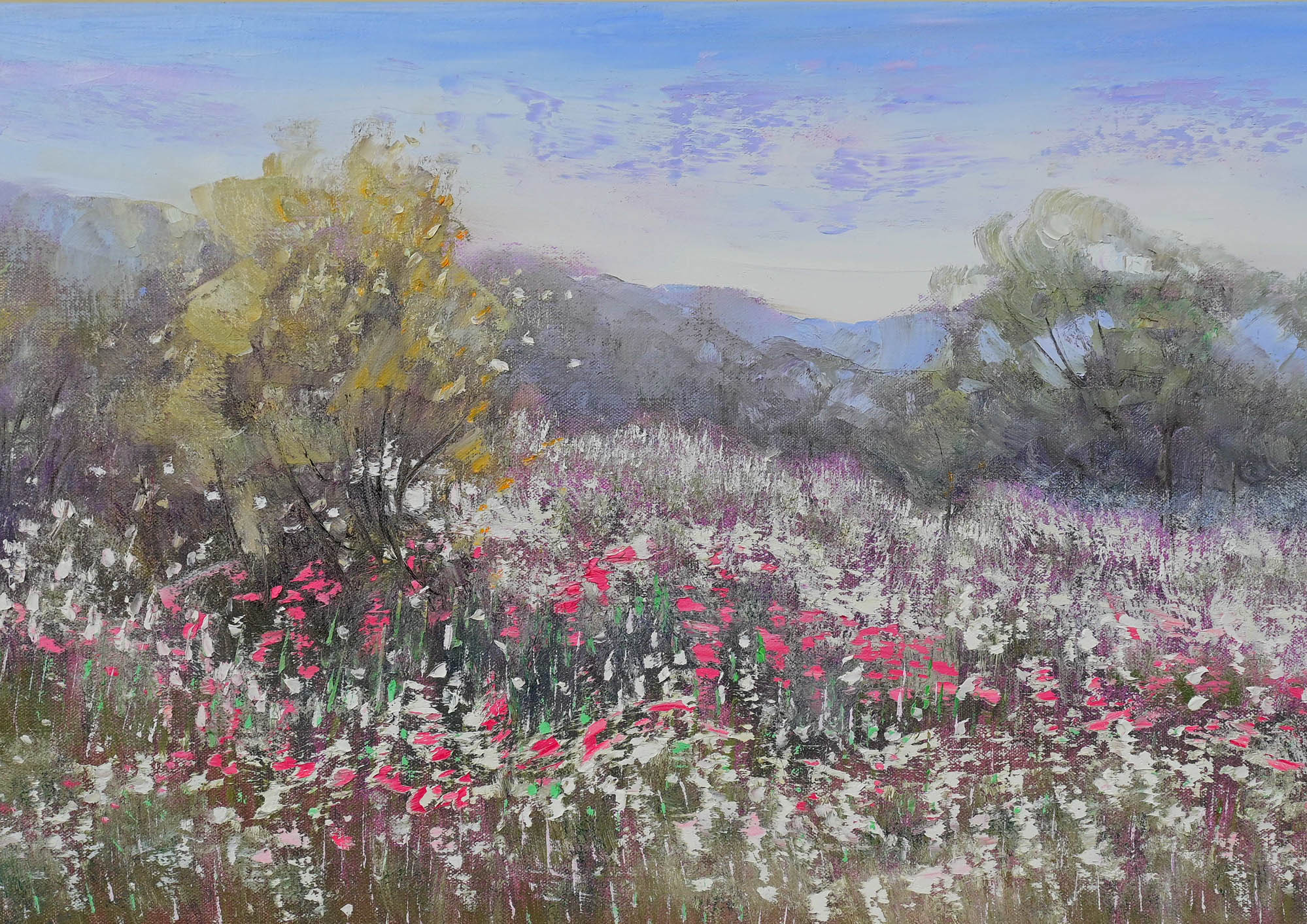 Mid West Wildflowers Detail