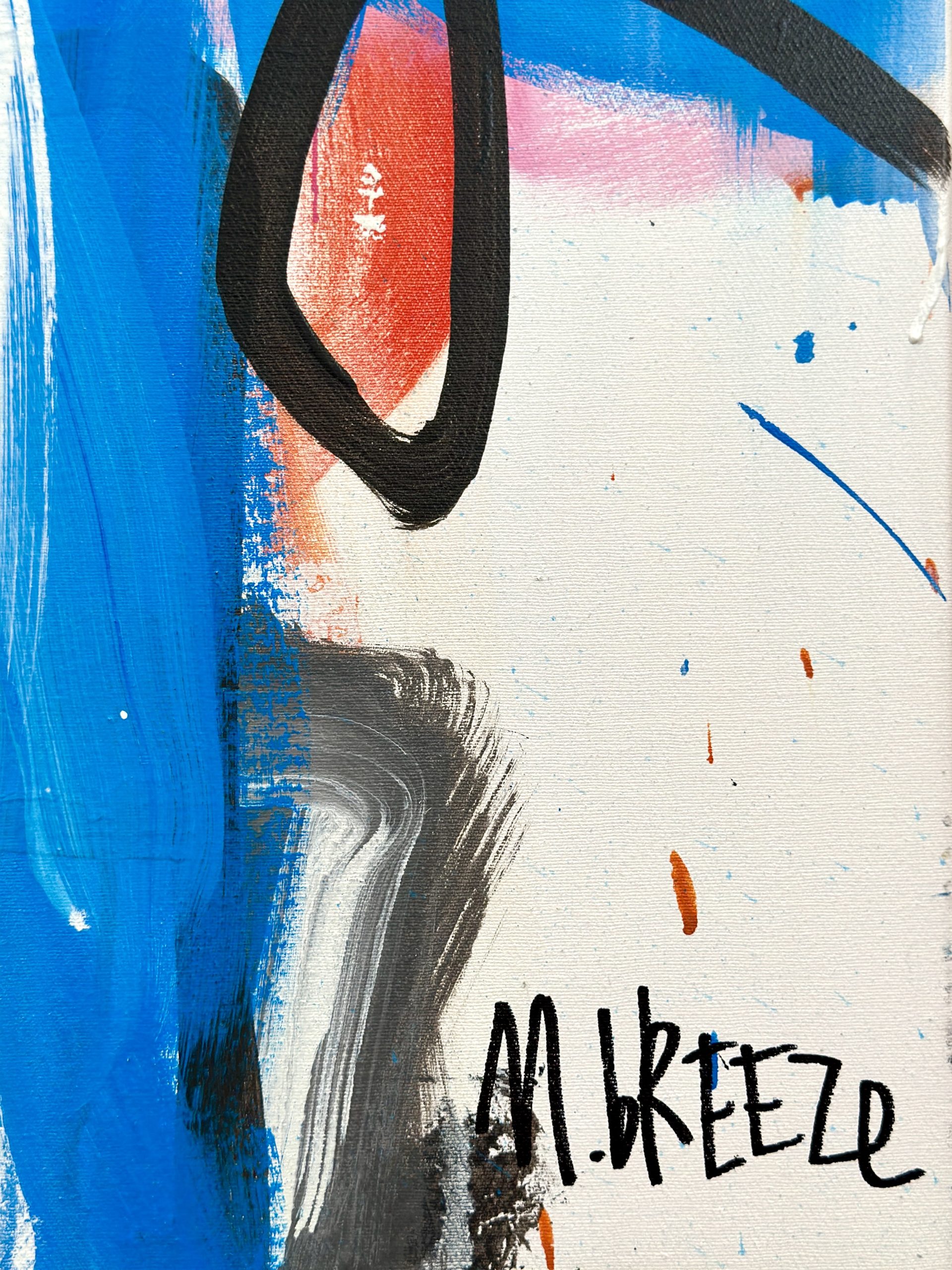 Martin Breeze Braveheart Signed