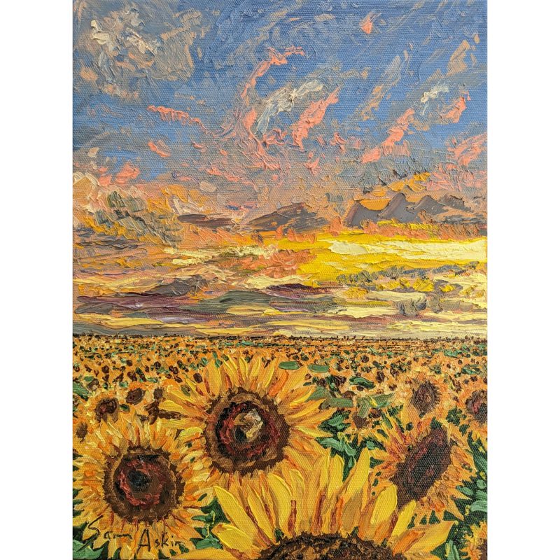 Sunflower Field Sunset