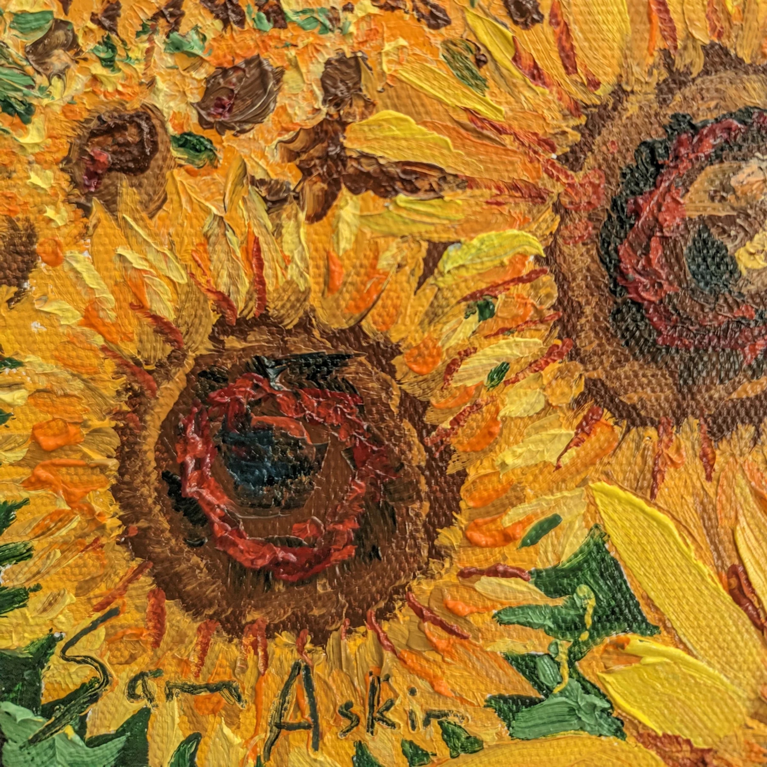 Sam Askin Sunflower Field Sunset Flowers