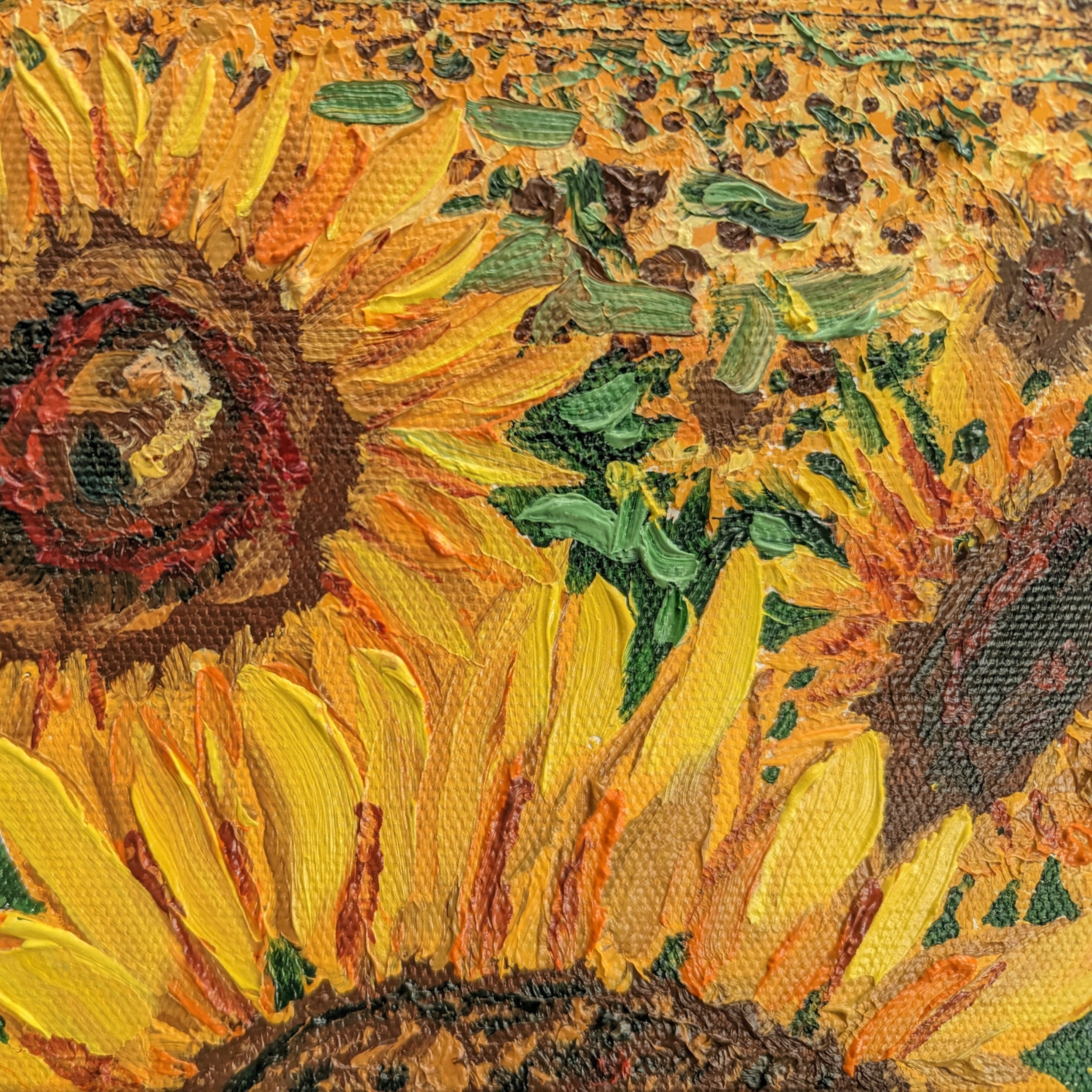 Sam Askin Sunflower Field Sunset Petals