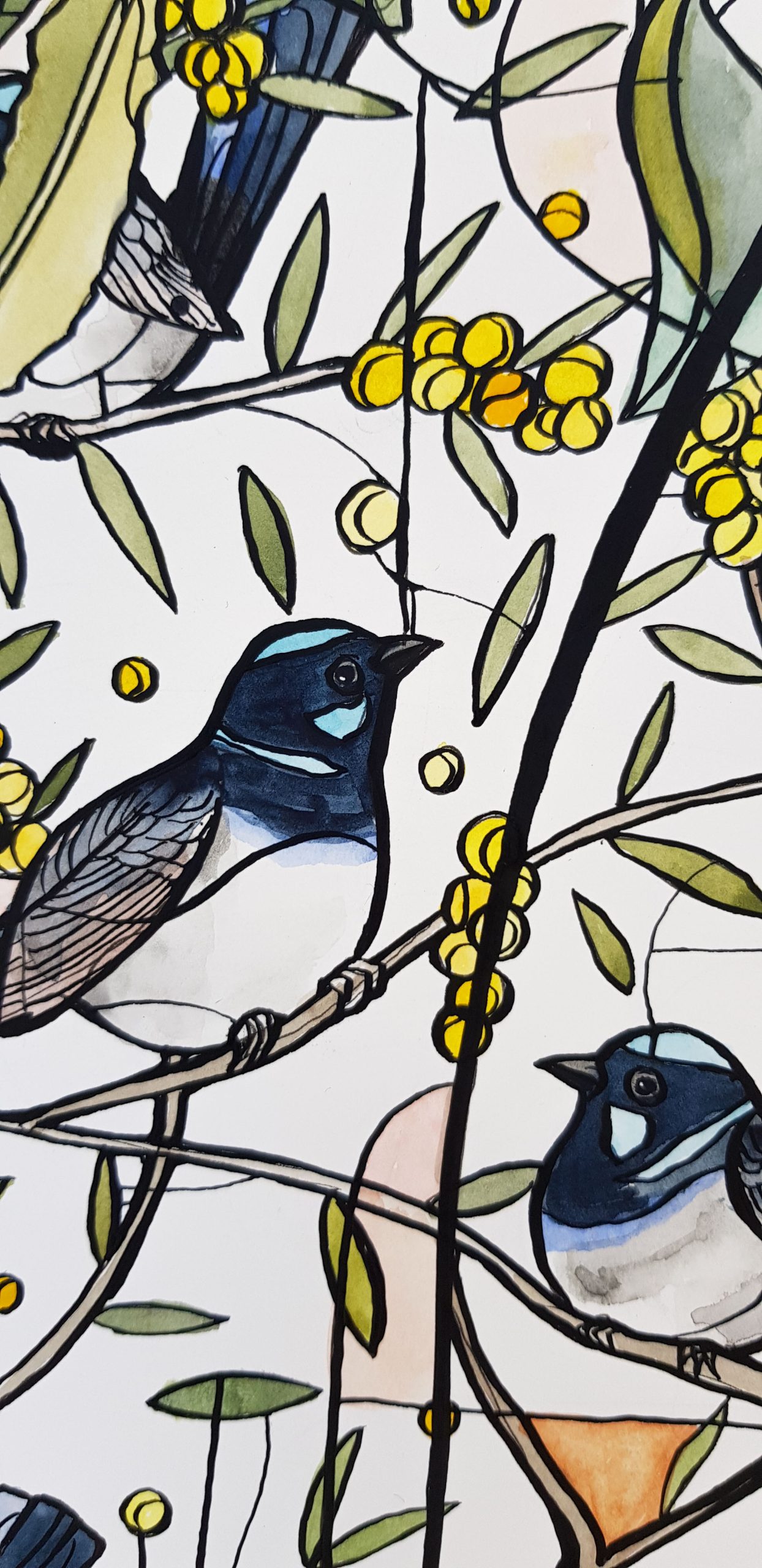 Wren And Wattle Jug By Nicola Cowie Watercolours