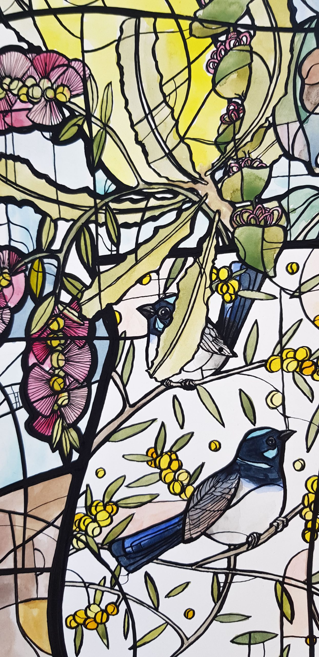 Wren And Wattle Jug By Nicola Cowie Blue Wrens