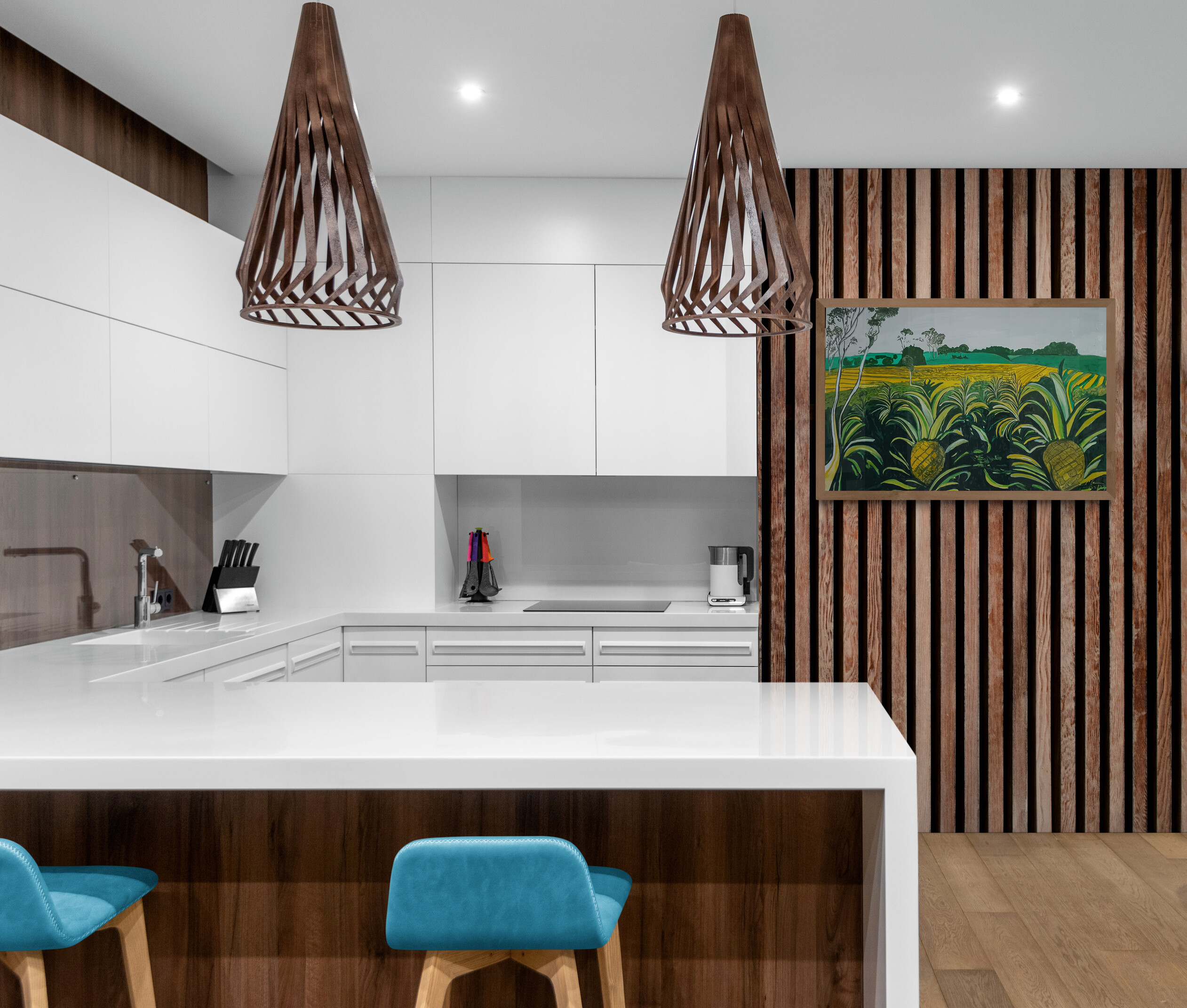 Bright Modern Kitchen Interior(2)
