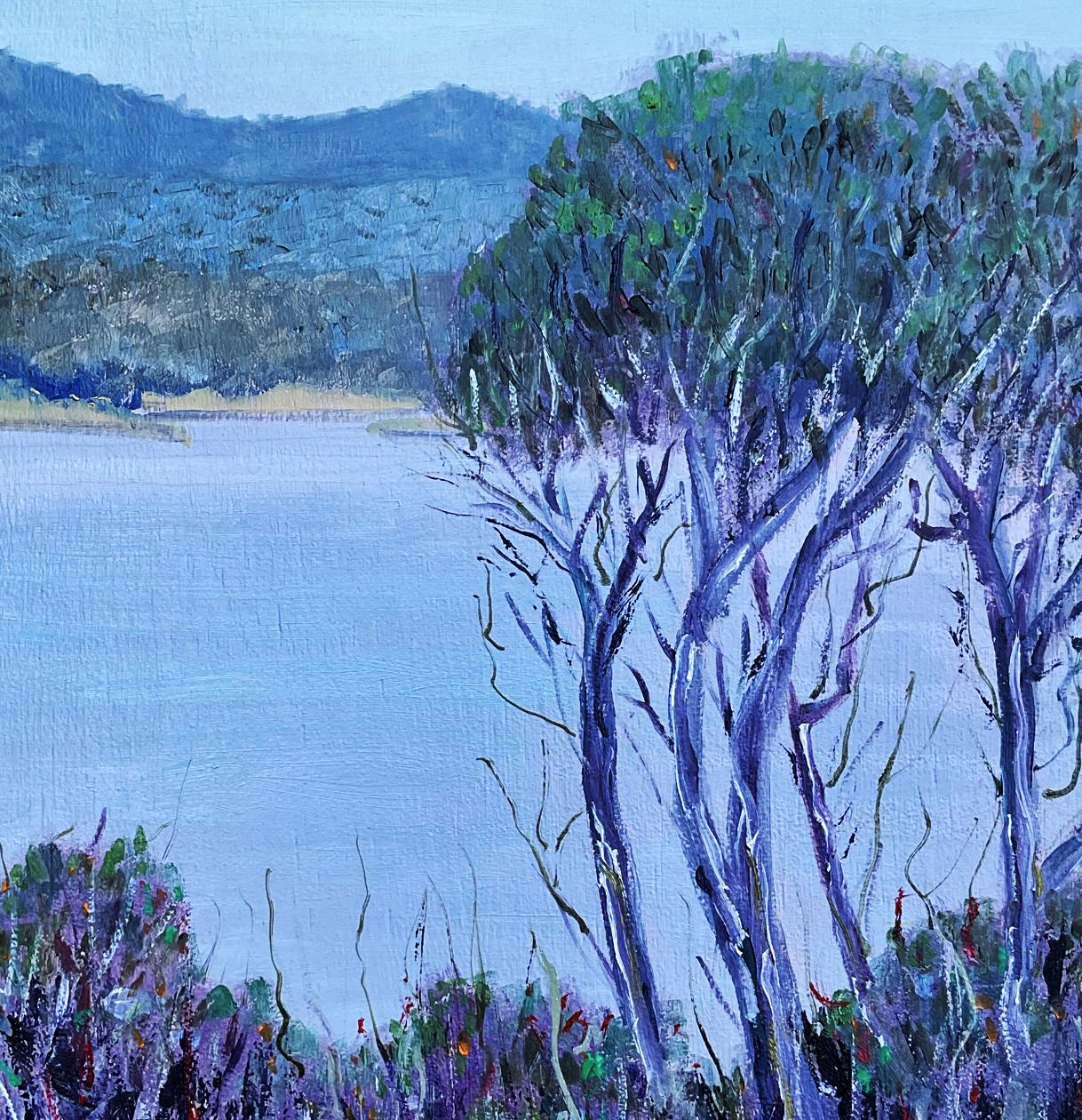 Two Fold Bay Eden Ps Detail