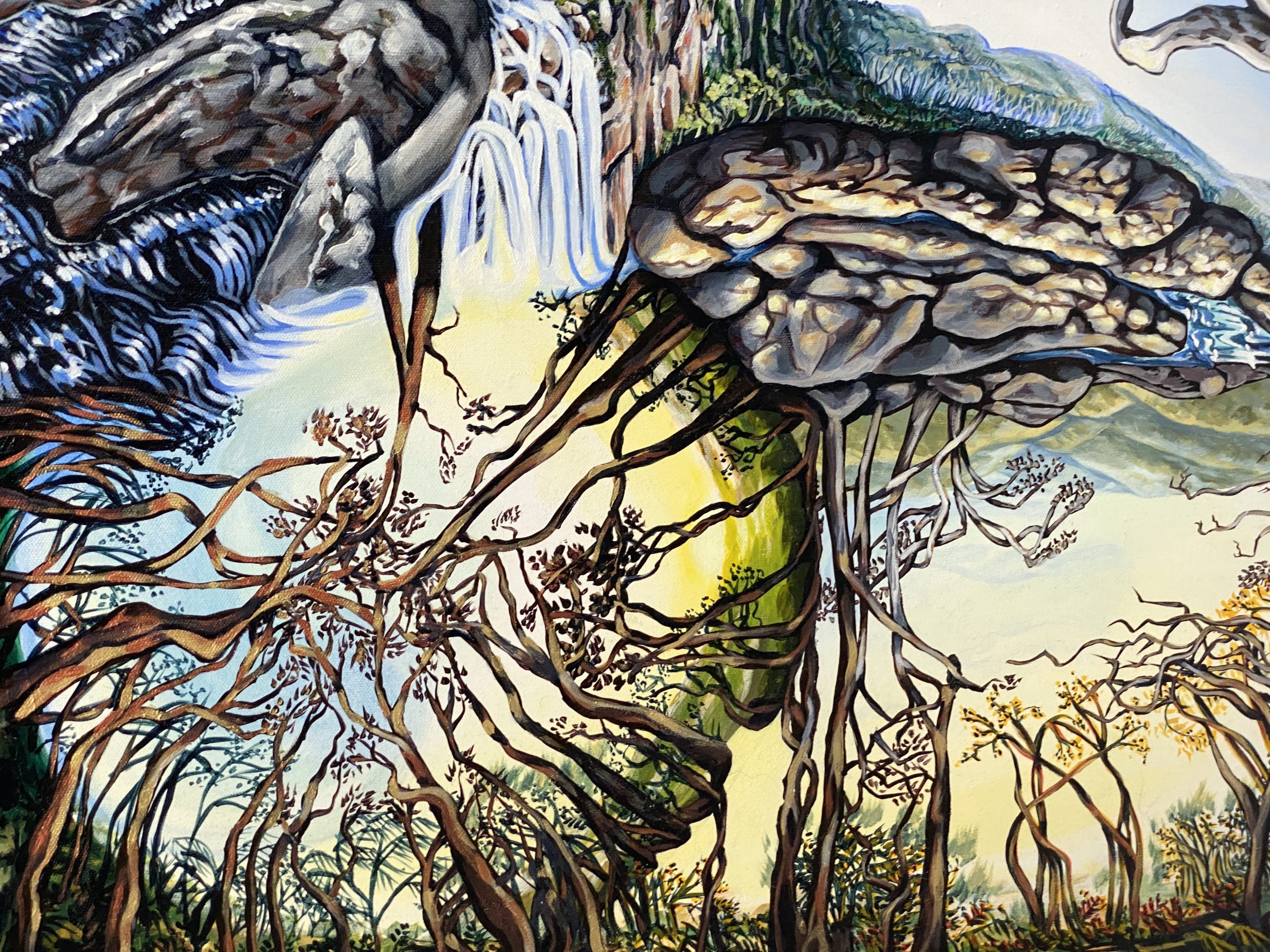 Connection Springbrook Twin Falls5