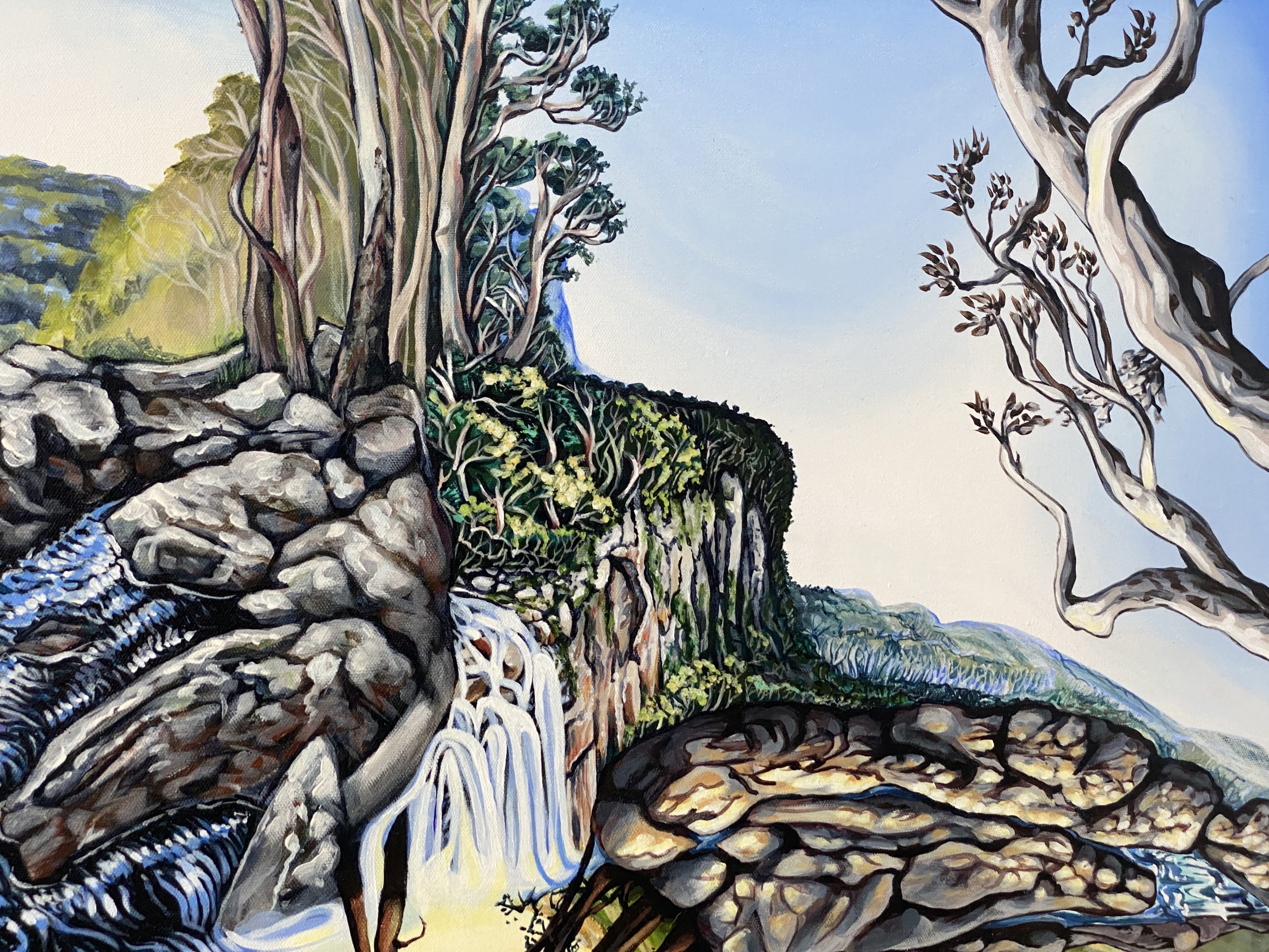 Connection Springbrook Twin Falls4