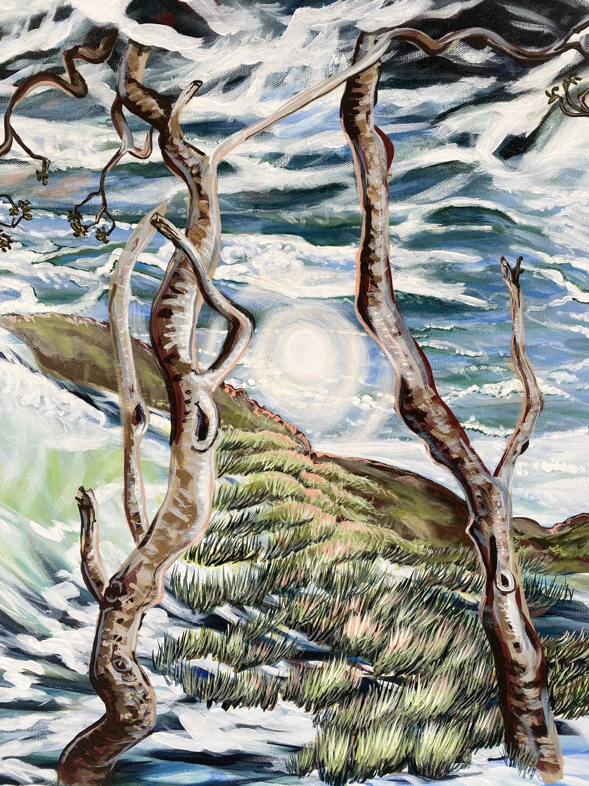 Connection Little Wategos Beach6