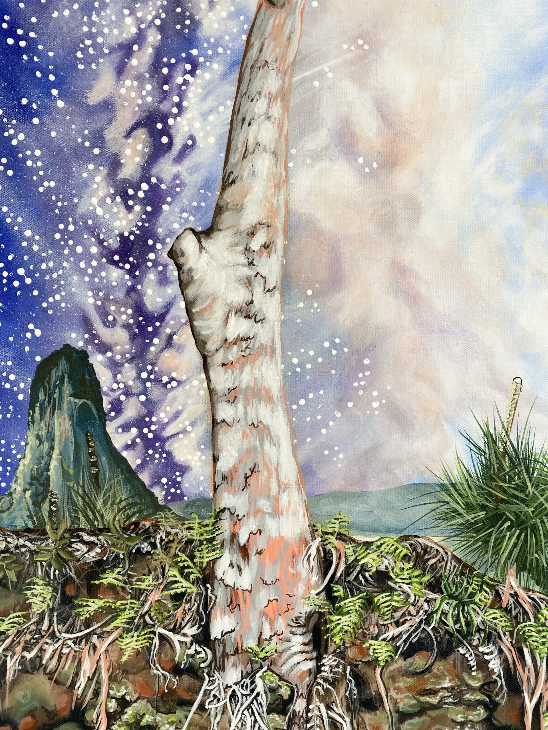 Connection Cougal Cascades4