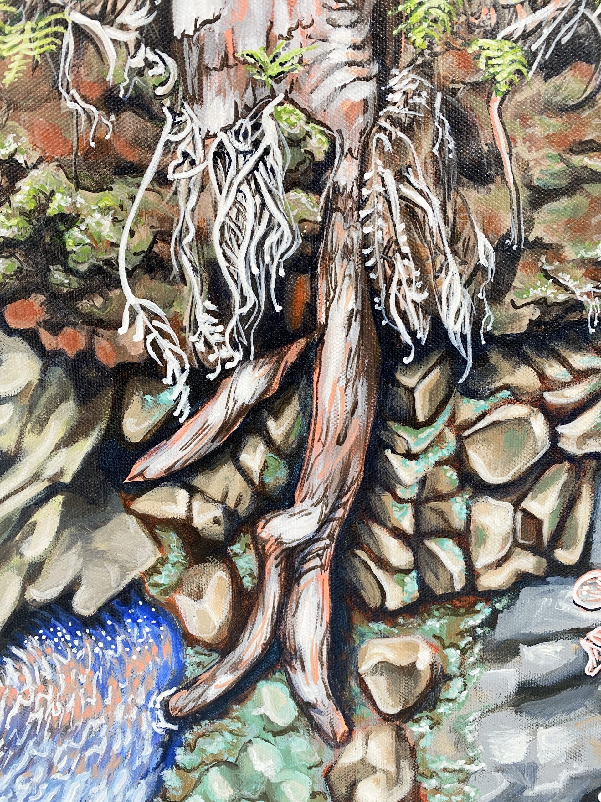 Connection Cougal Cascades6