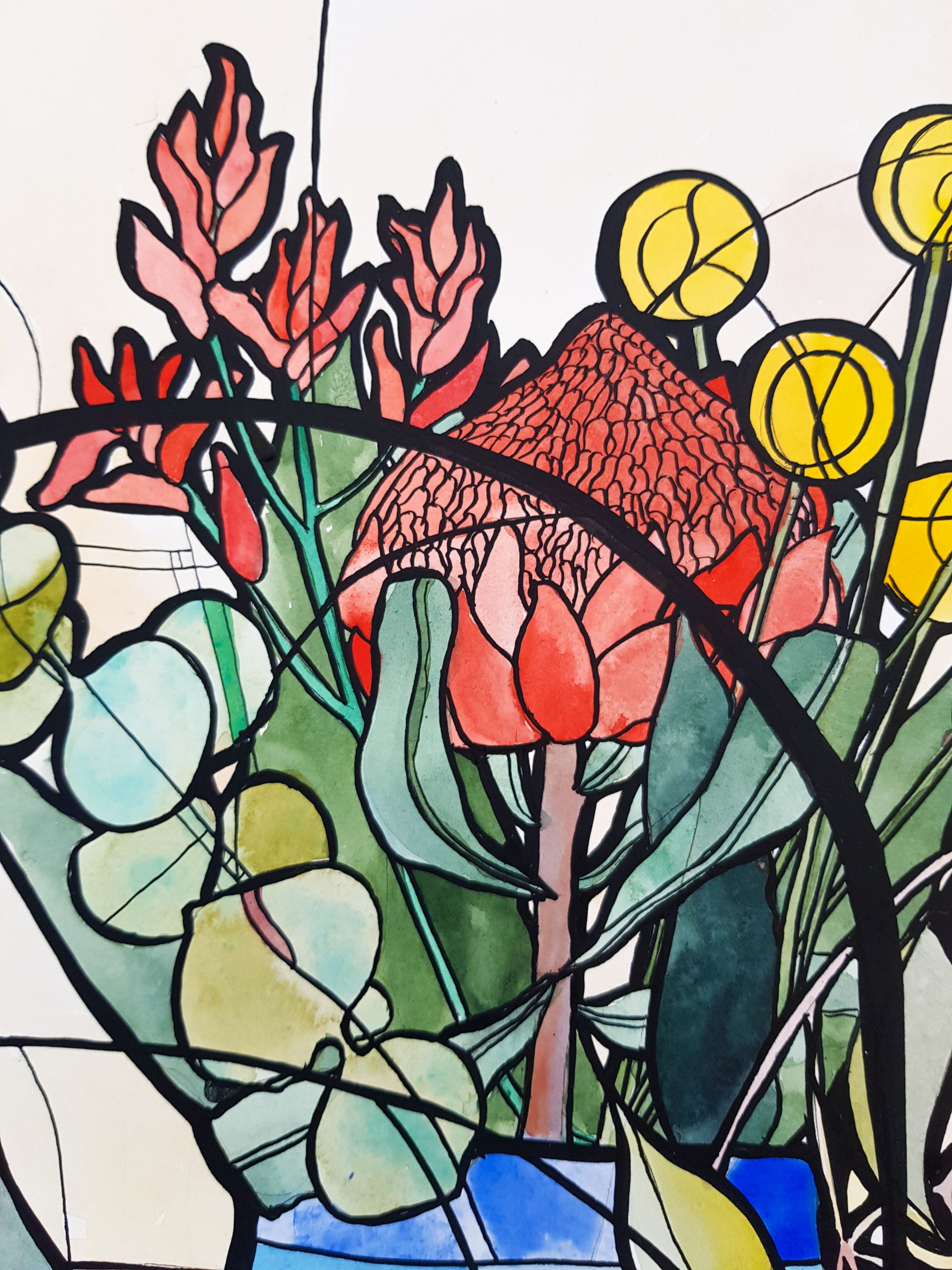 Kookaburra Jug By Nicola Cowie Ink