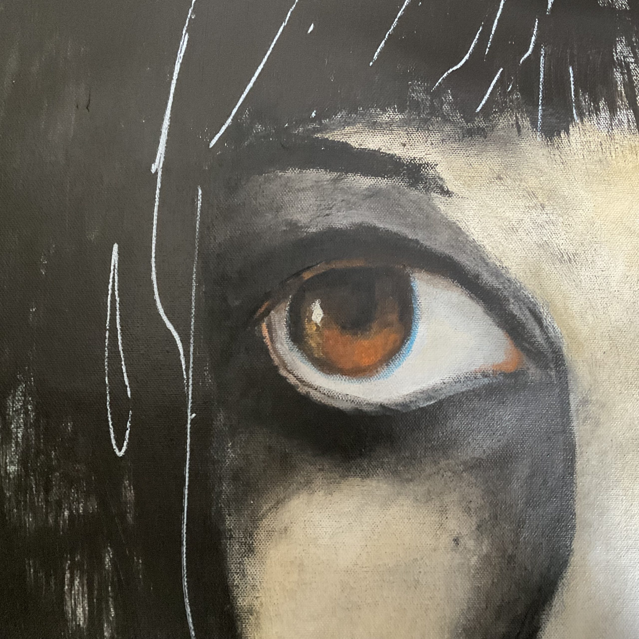 All Eyes On Me. Elise Judd. Goddesses Series. Close Up Eye