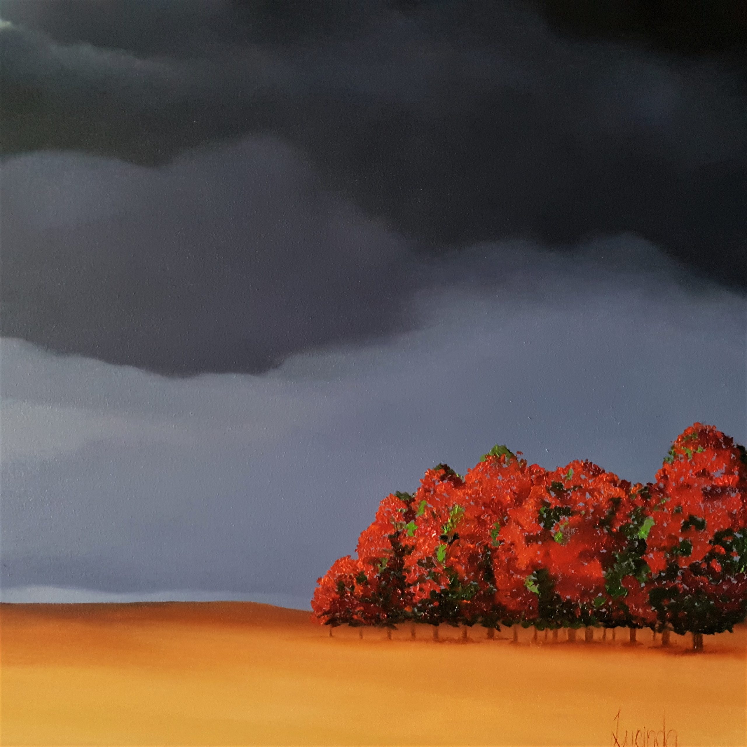 Glowing Like The Embers Of A Fire Worn Lucinda Leveille 1