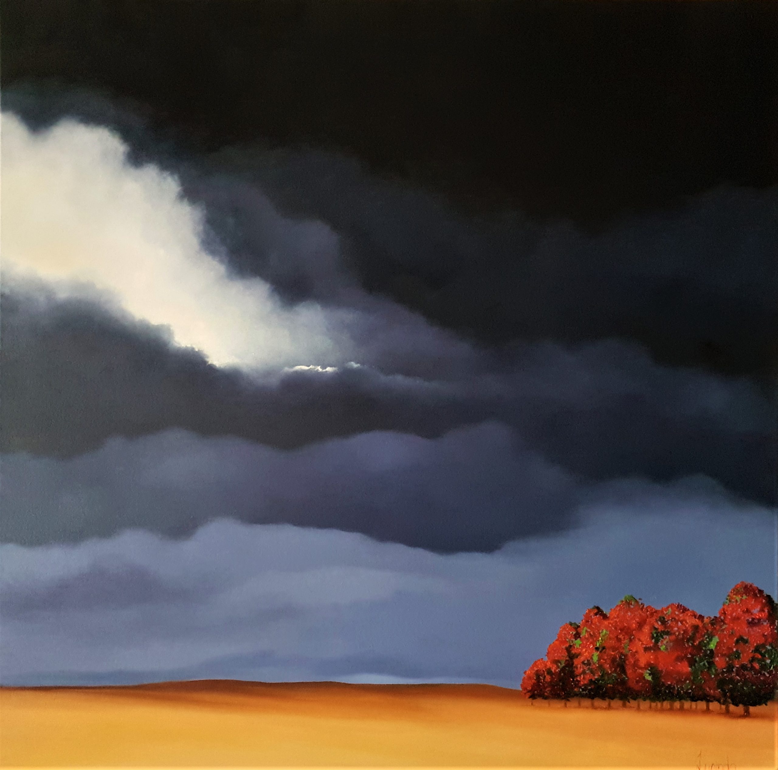 Glowing Like The Embers Of A Fire Worn Lucinda Leveille