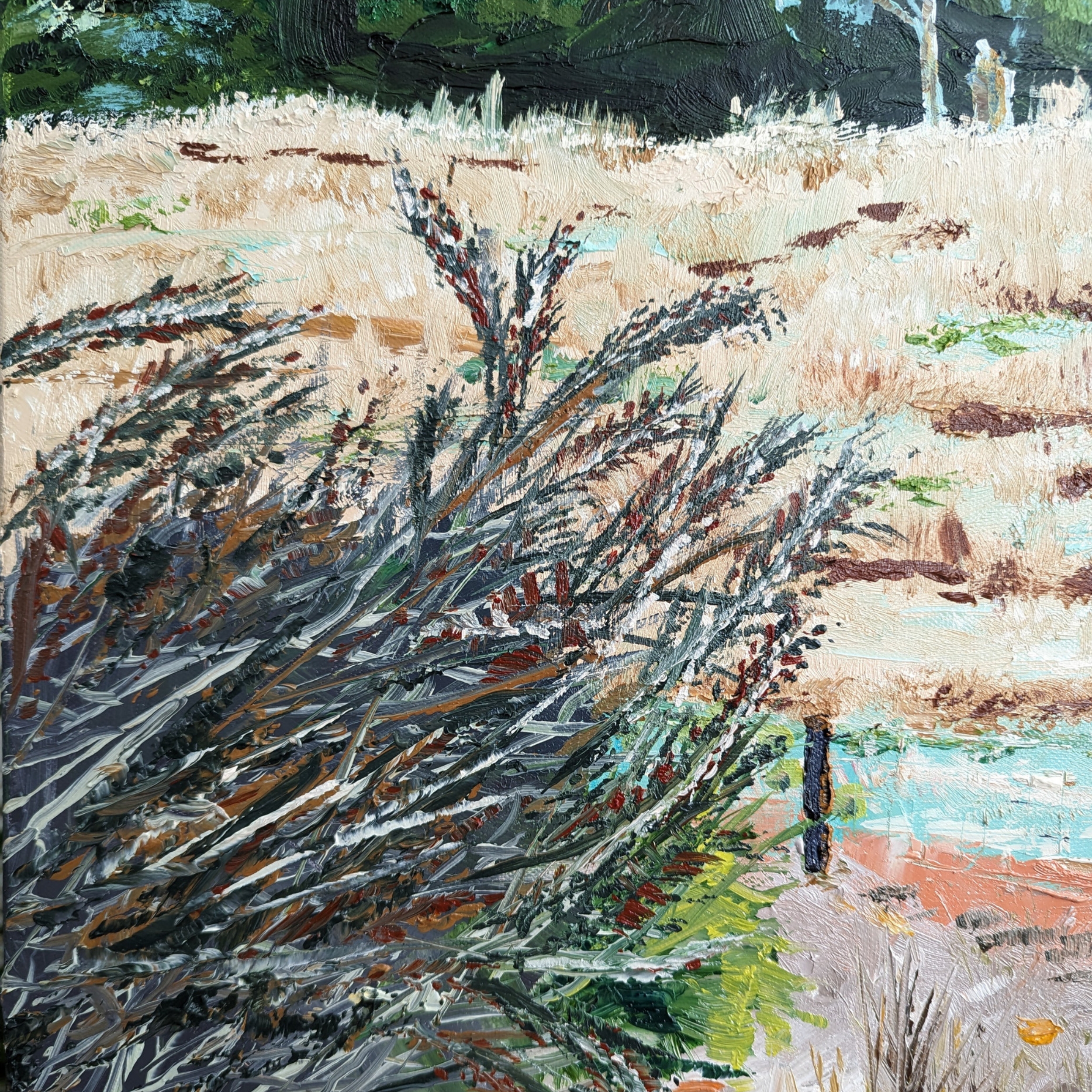 Sam Askin Cudlee Creek Branches