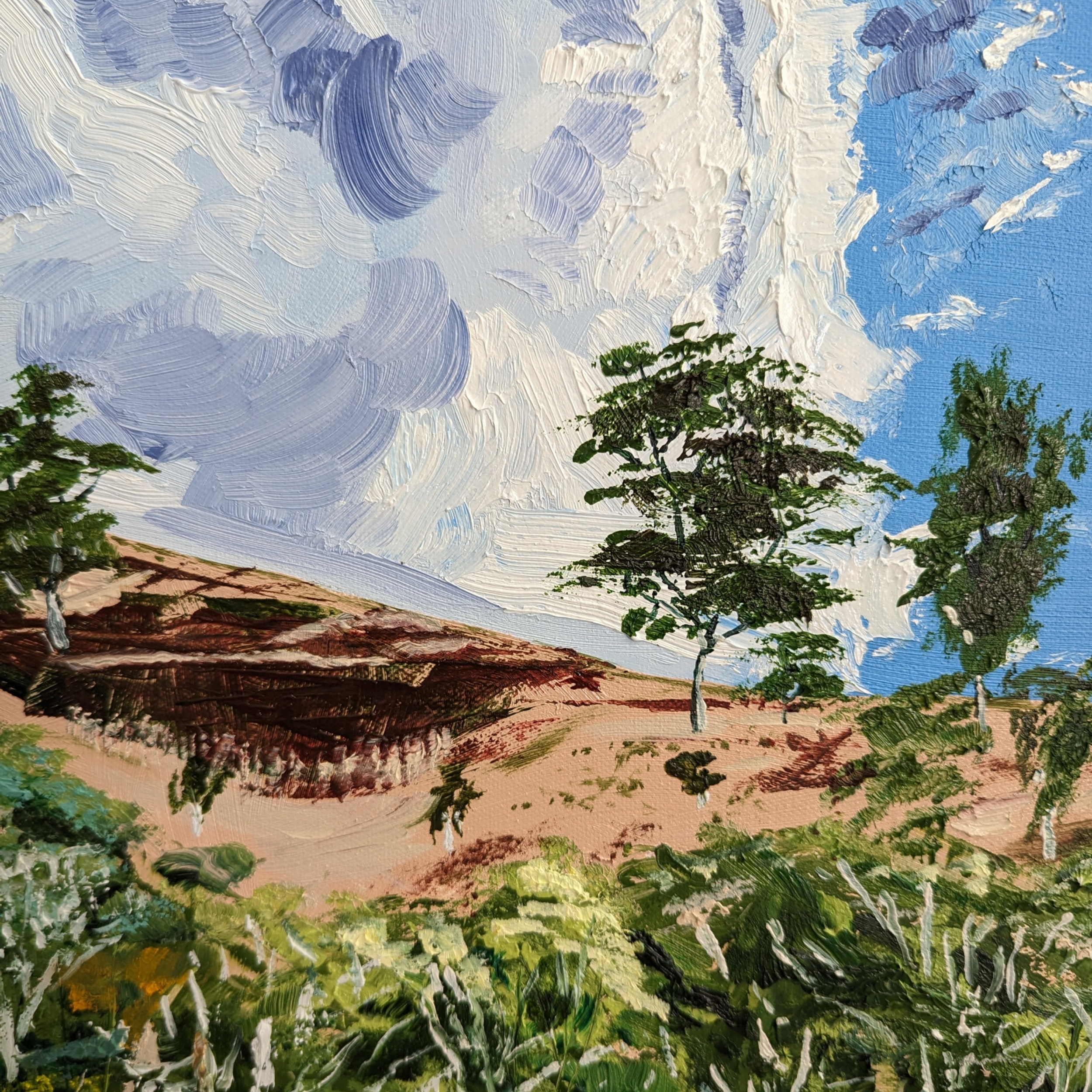 Sam Askin Cudlee Creek Hills Clouds