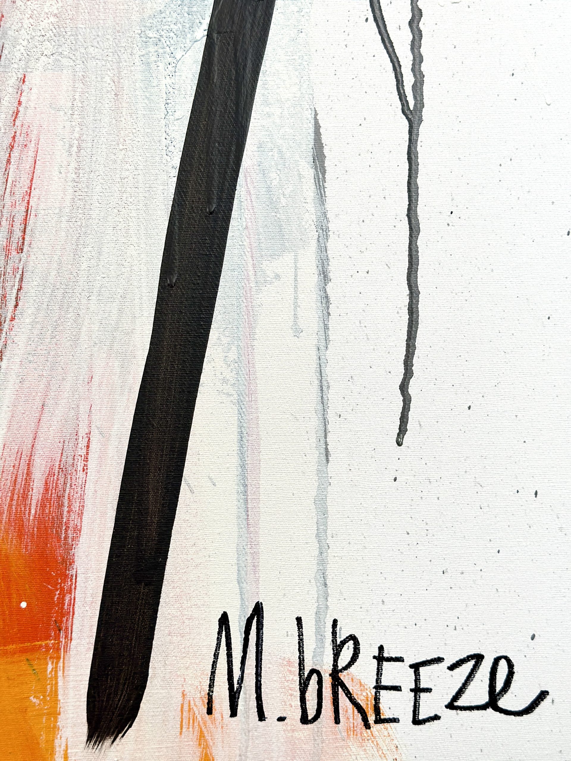 Martin Breeze Red Flag Signed