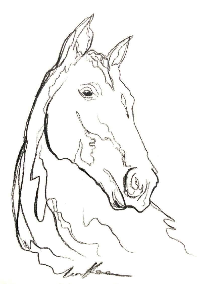 Horse Spirit