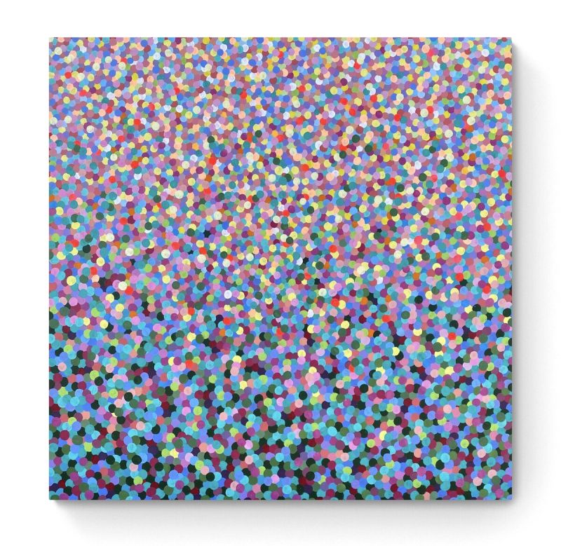 Flowers in the Sunlight