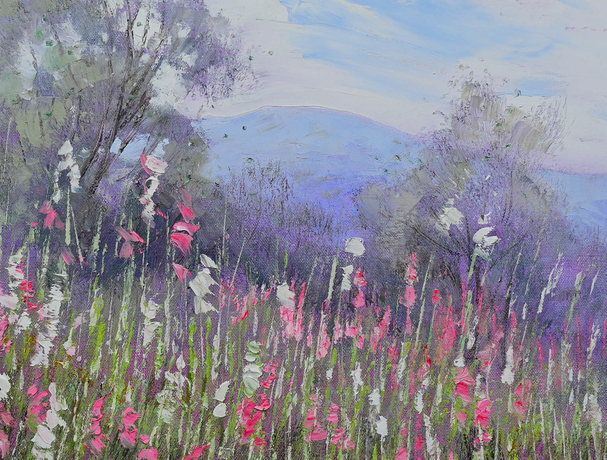 Australian Wildflowers 2 Detail