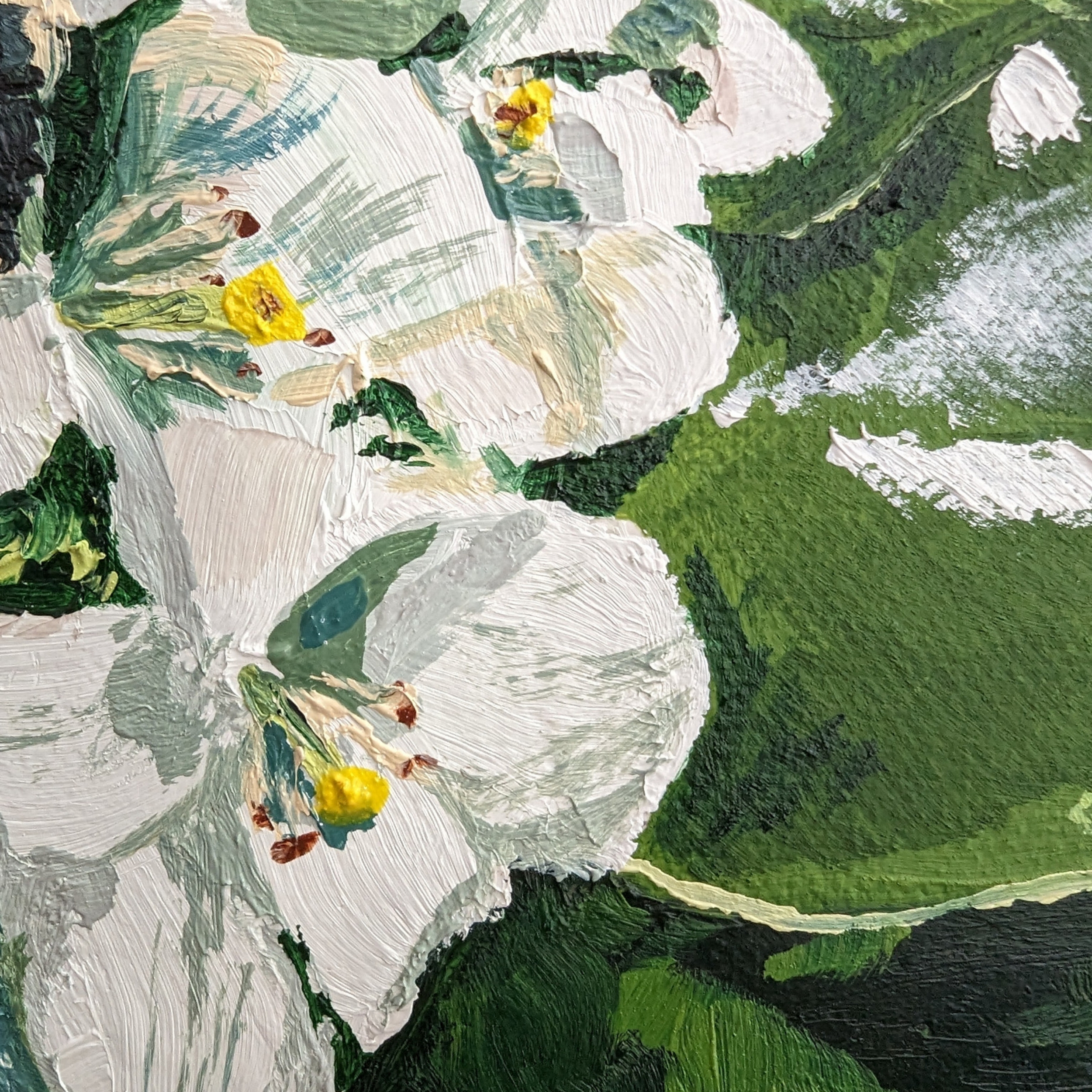 Sam Askin Great Carpenter Bee Mock Orange Leaf