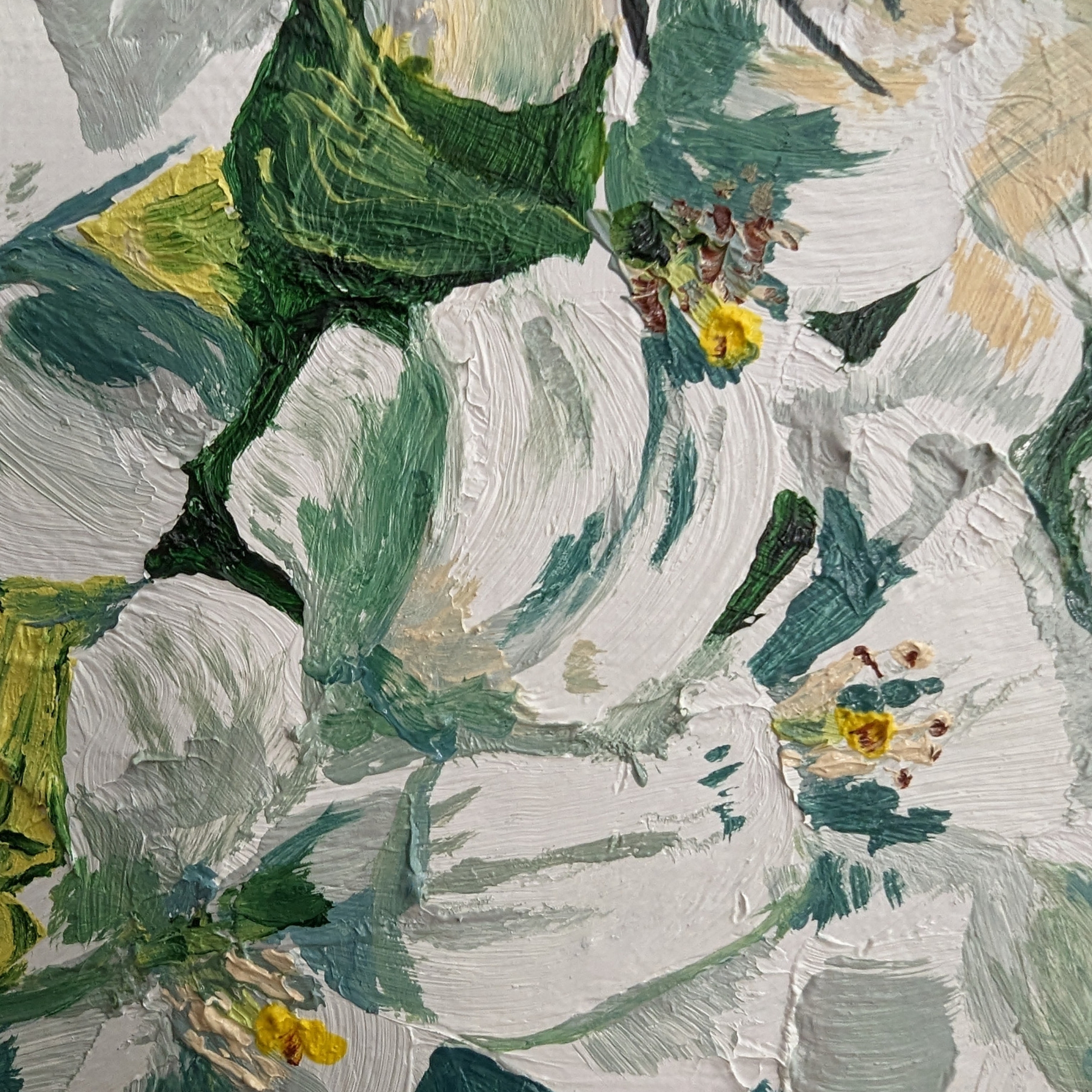 Sam Askin Great Carpenter Bee Mock Orange Petals