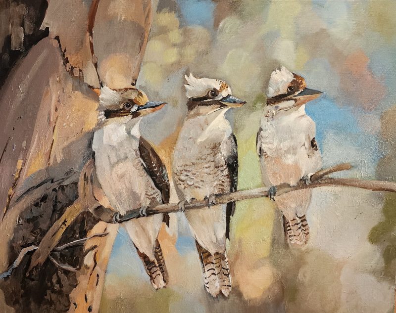 Kookaburra Trio