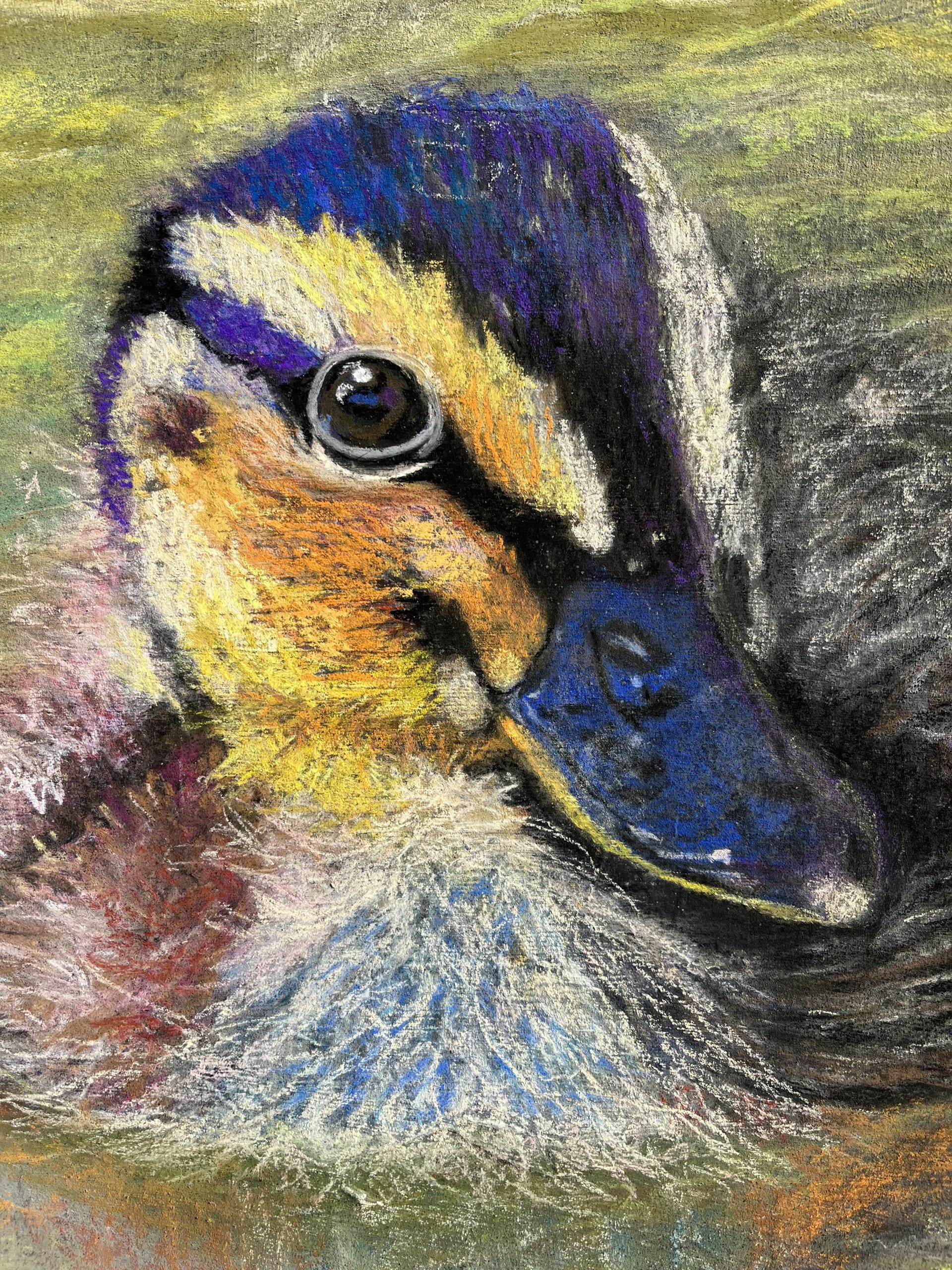 Rippling Reflections 1jpg