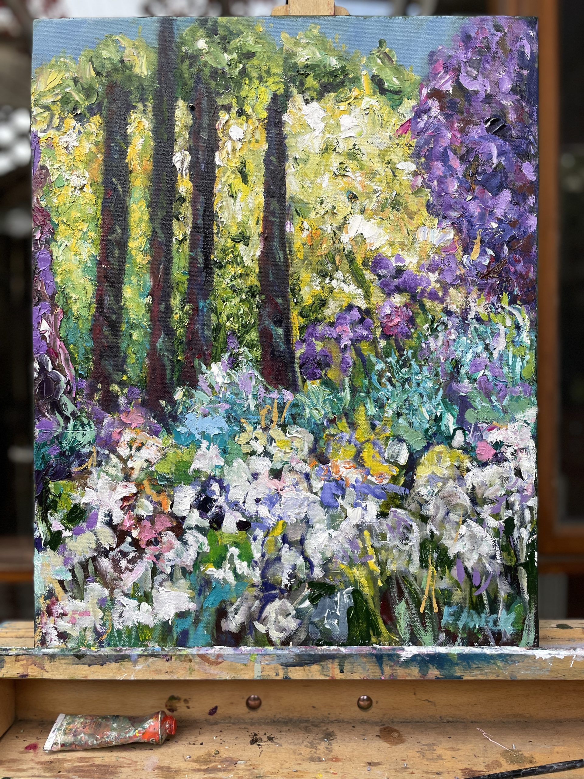 Pencil Pines And Agapanthas Studio View