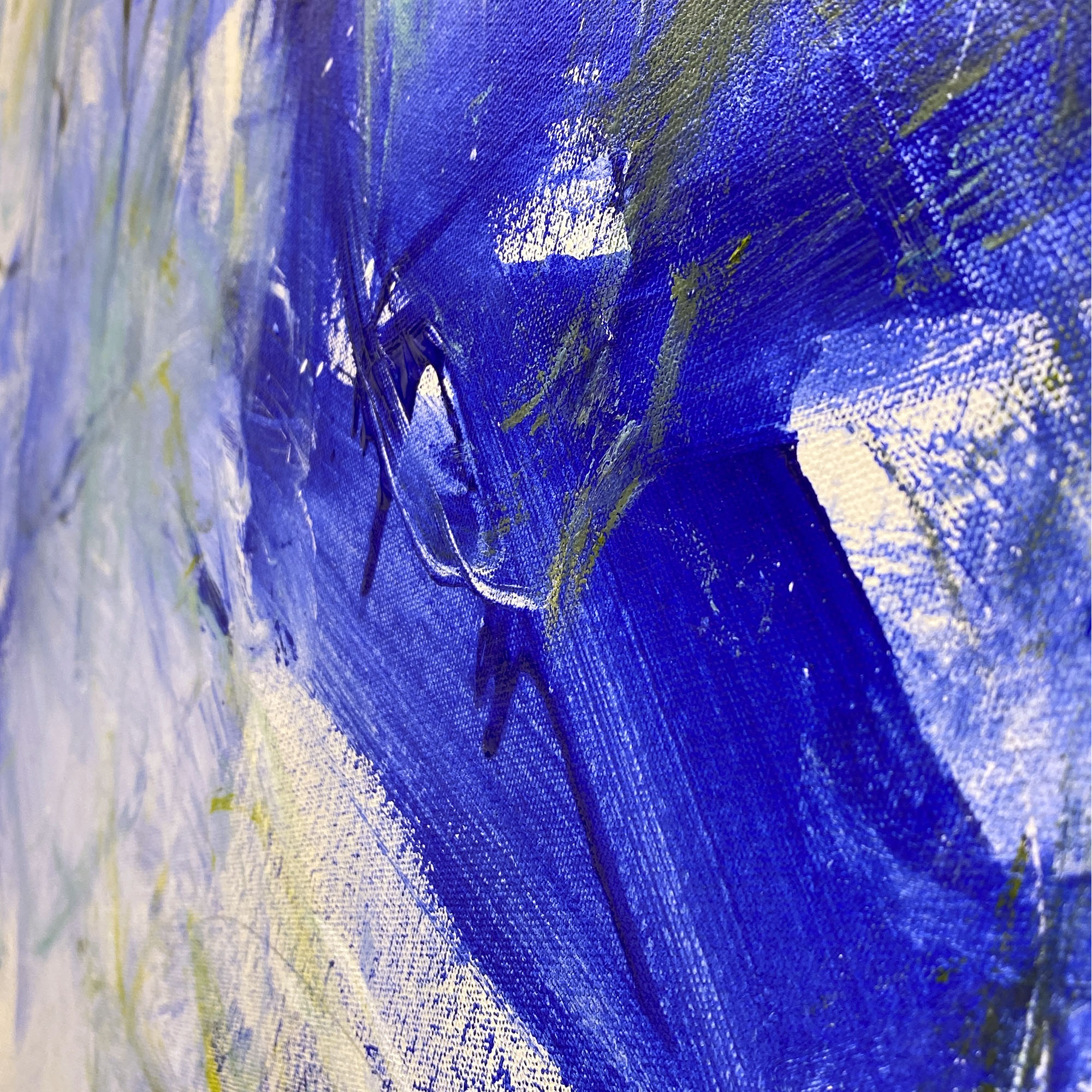 Into The Wild Cheryl Harrison A