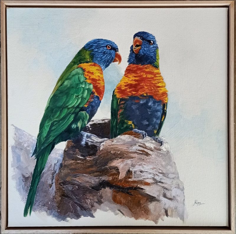 Lorikeet Pair Australian Native Bird Parrot 204