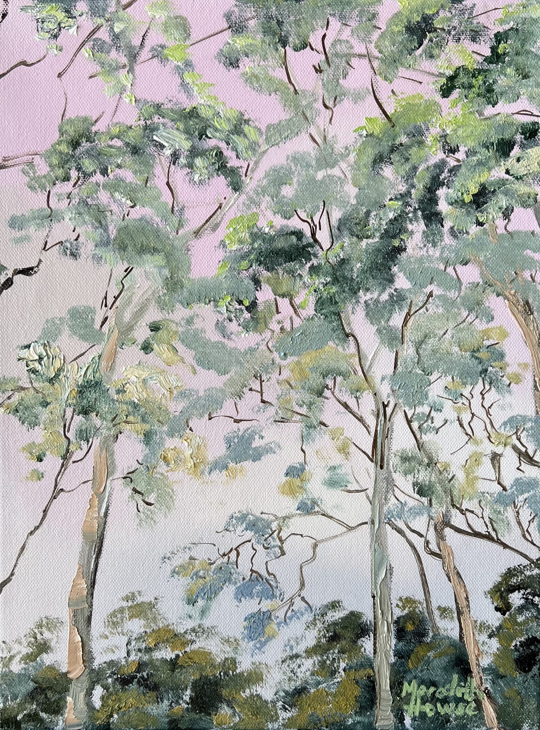Illumination Whispering Woods By Meredith Howse