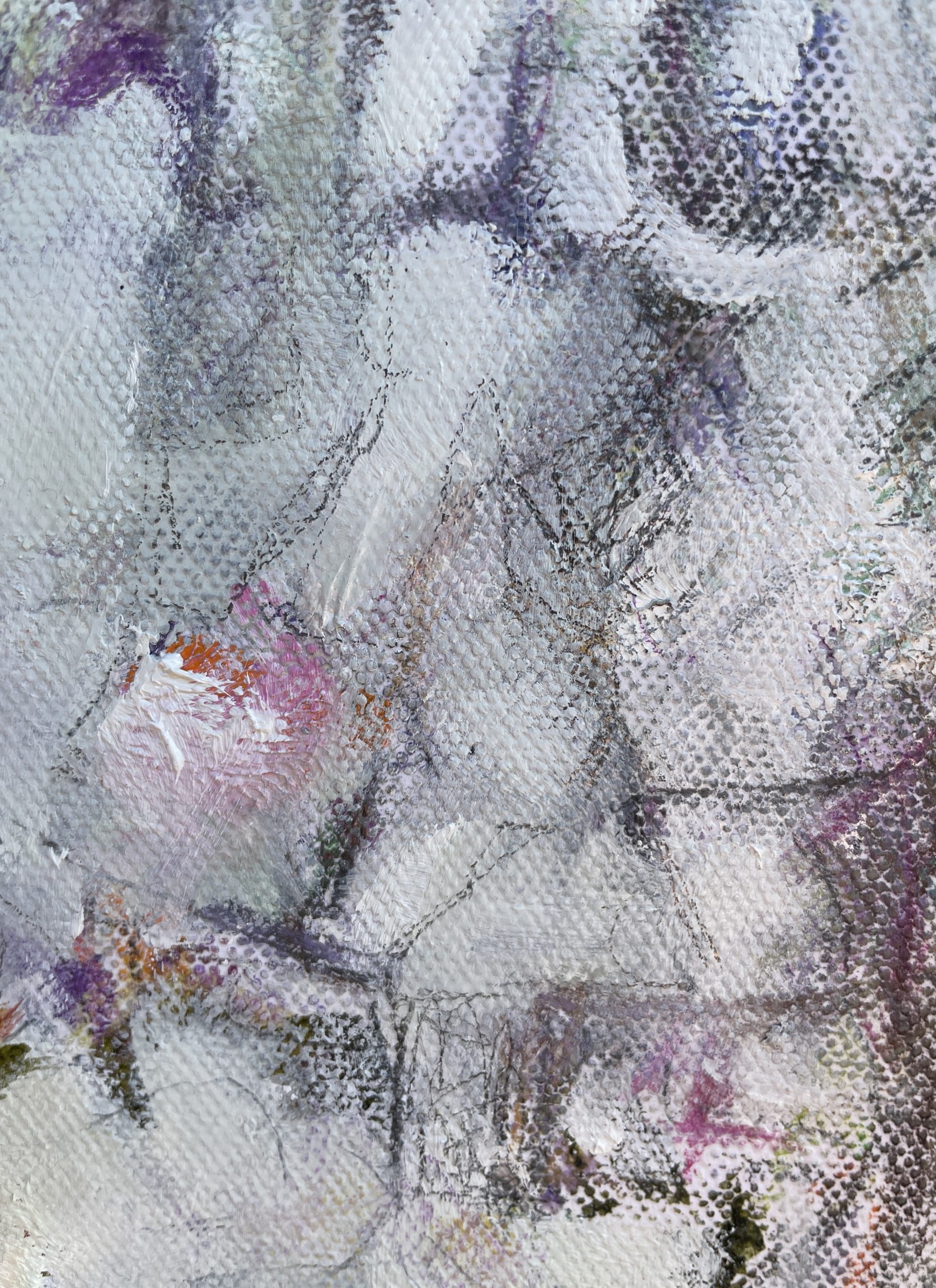 Gymea Lily Close Up 3