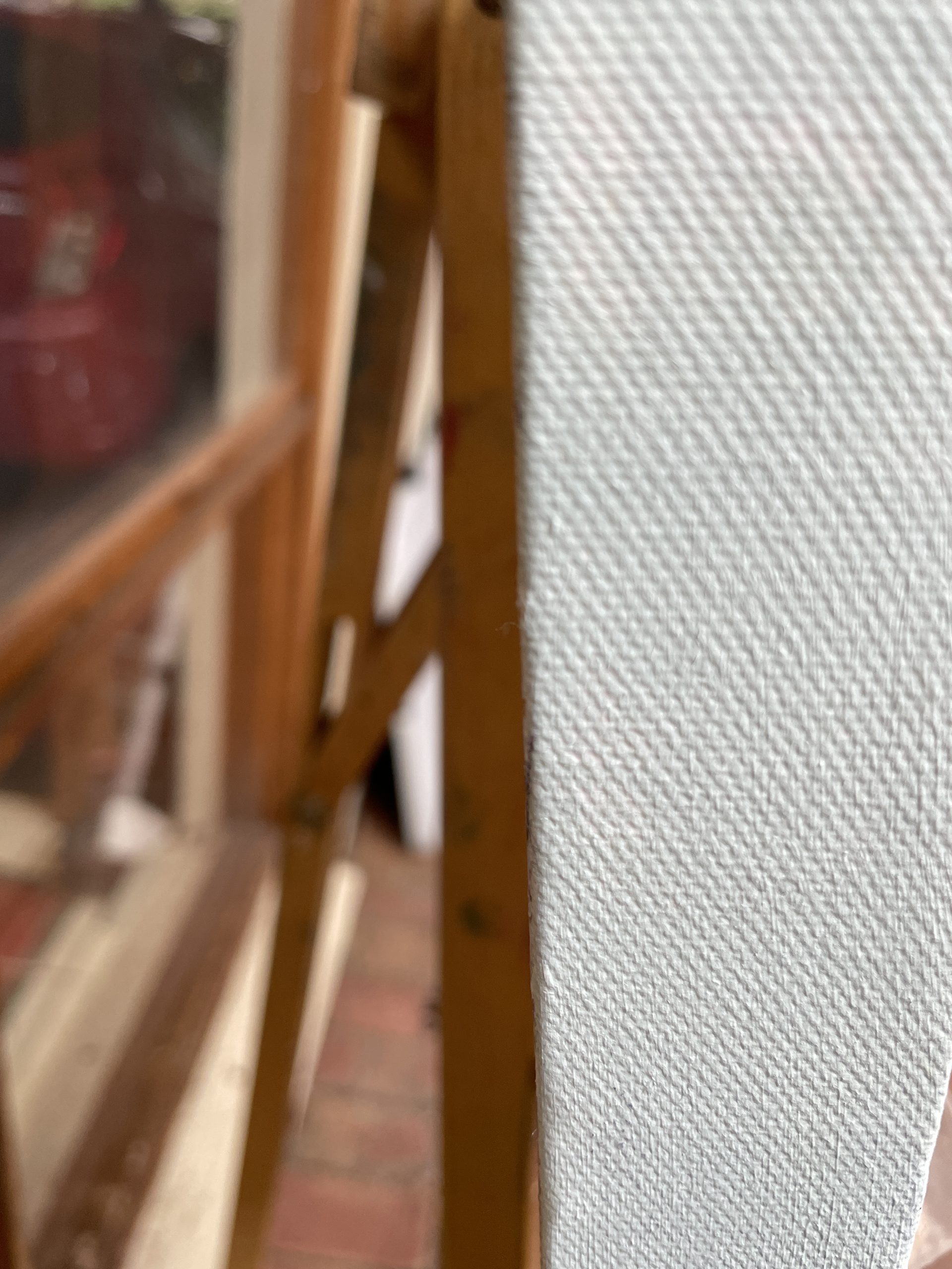 Gymea Lily Side View